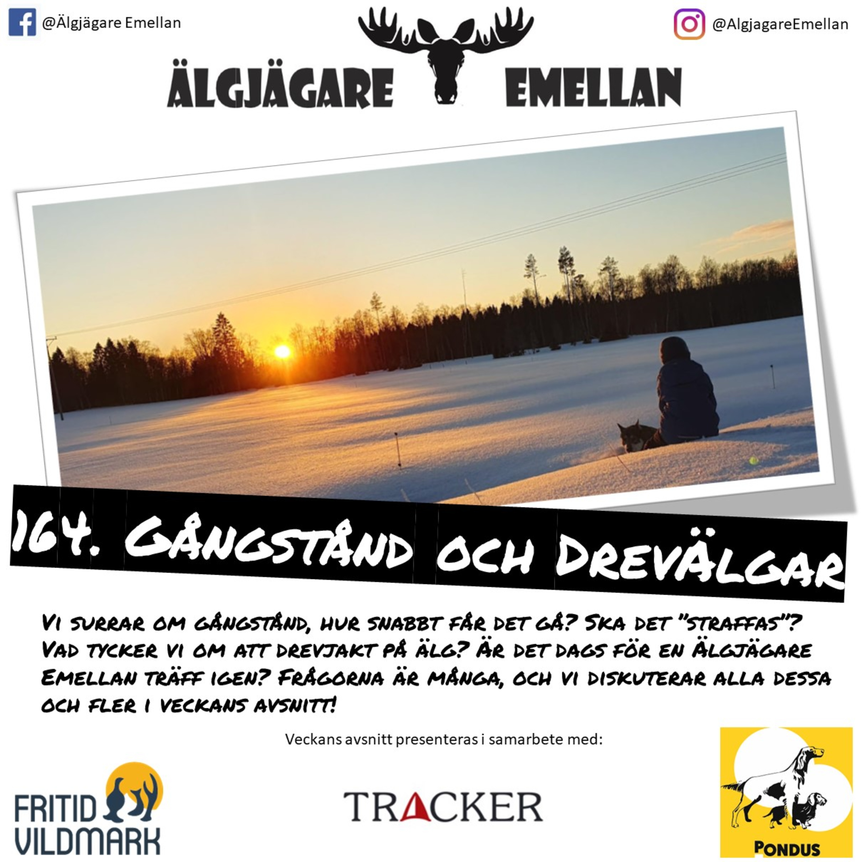 164. Gångstånd & DrevÄlgar episode artwork