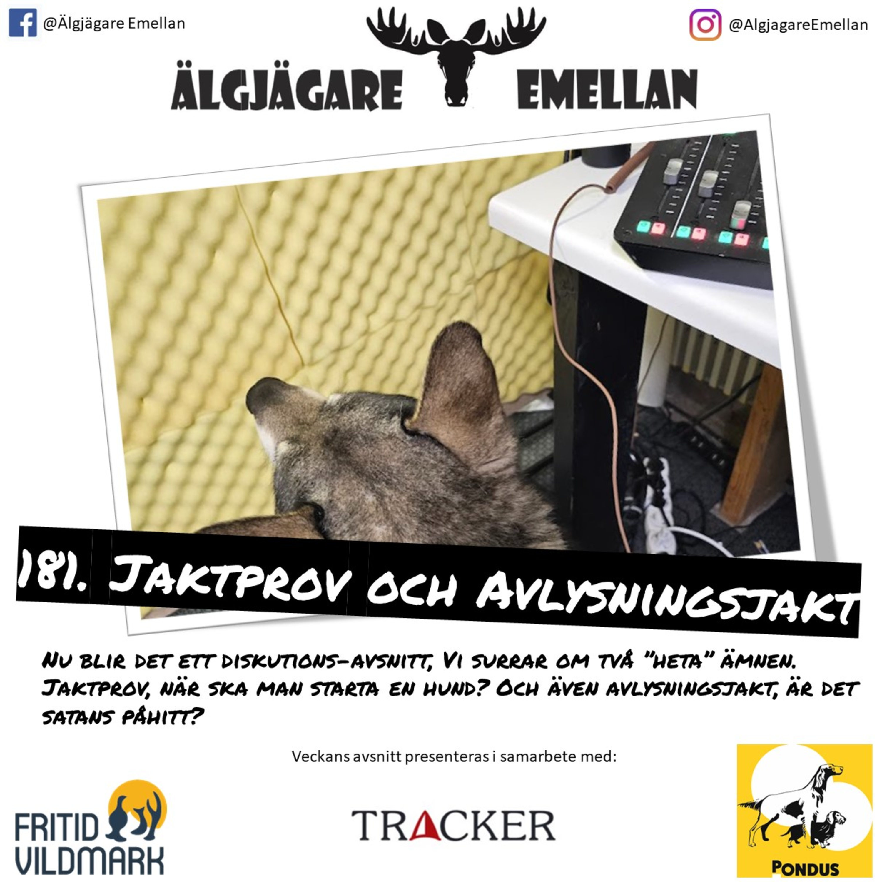 181. Jaktprov & Avlysningsjakt episode artwork