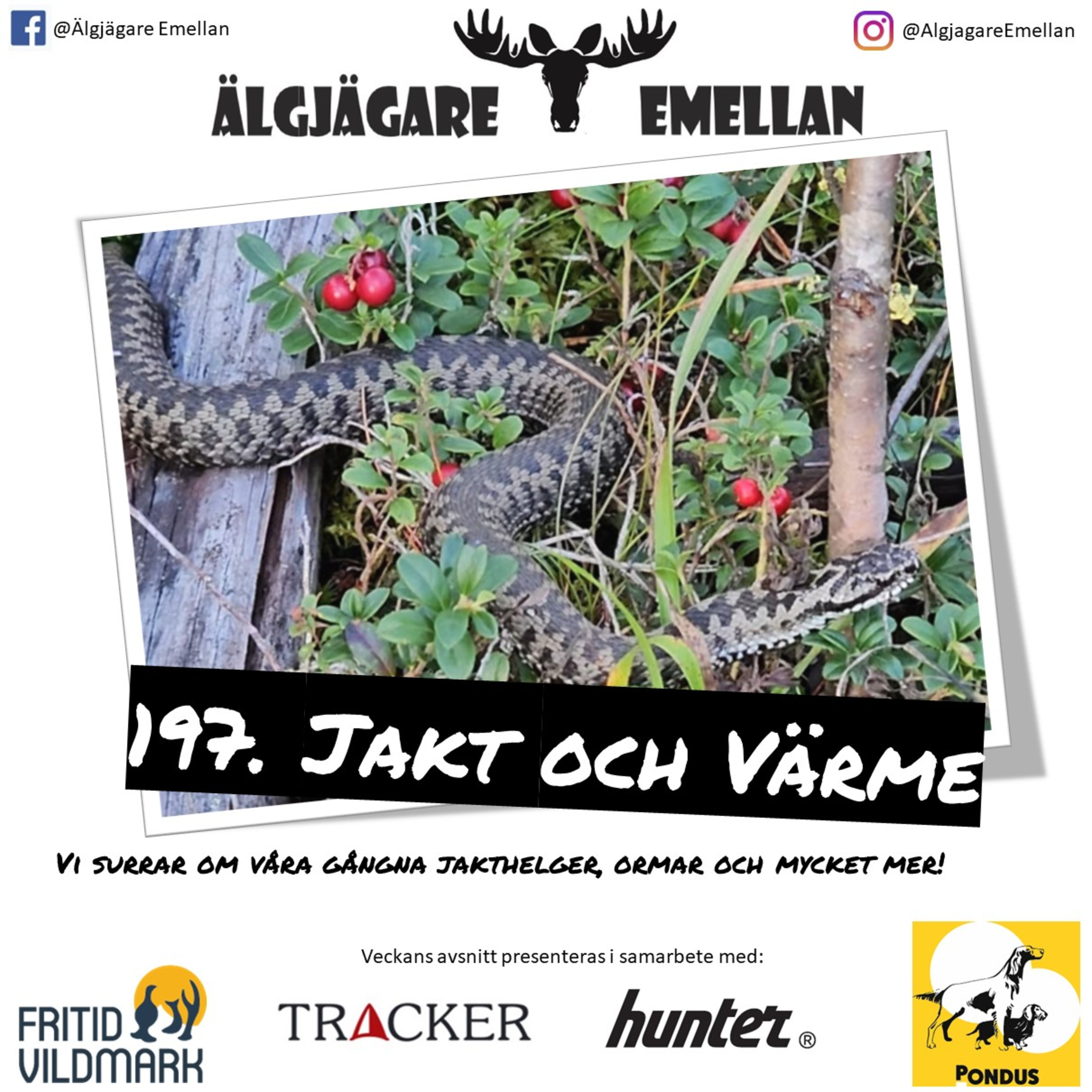 197. Jakt & Värme episode artwork