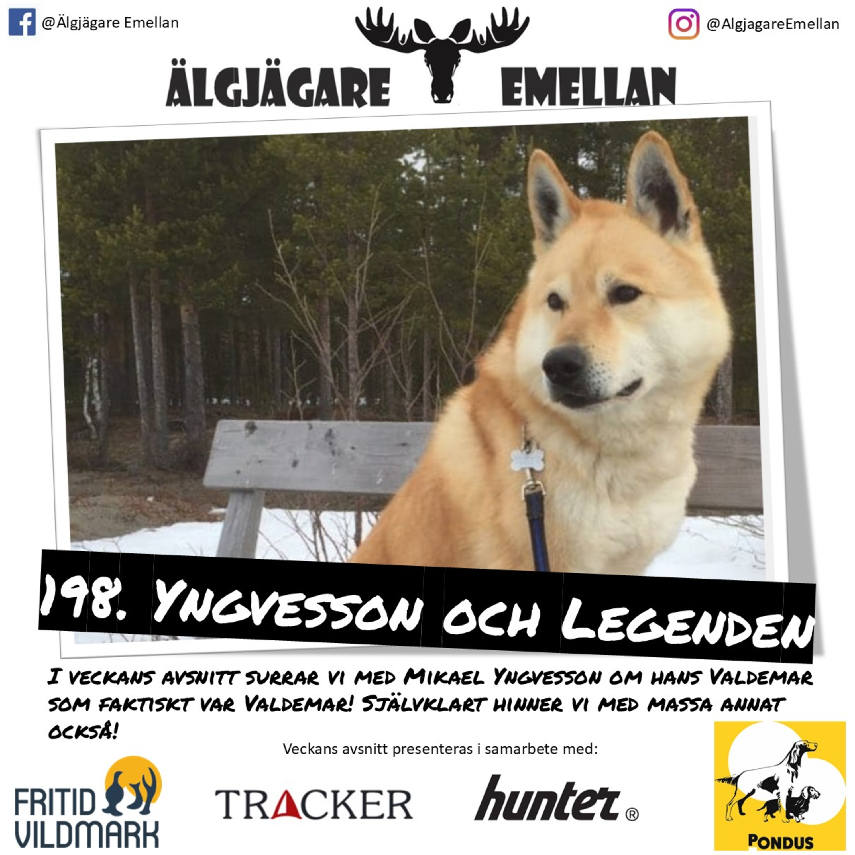 198. Yngvesson & Legenden  episode artwork