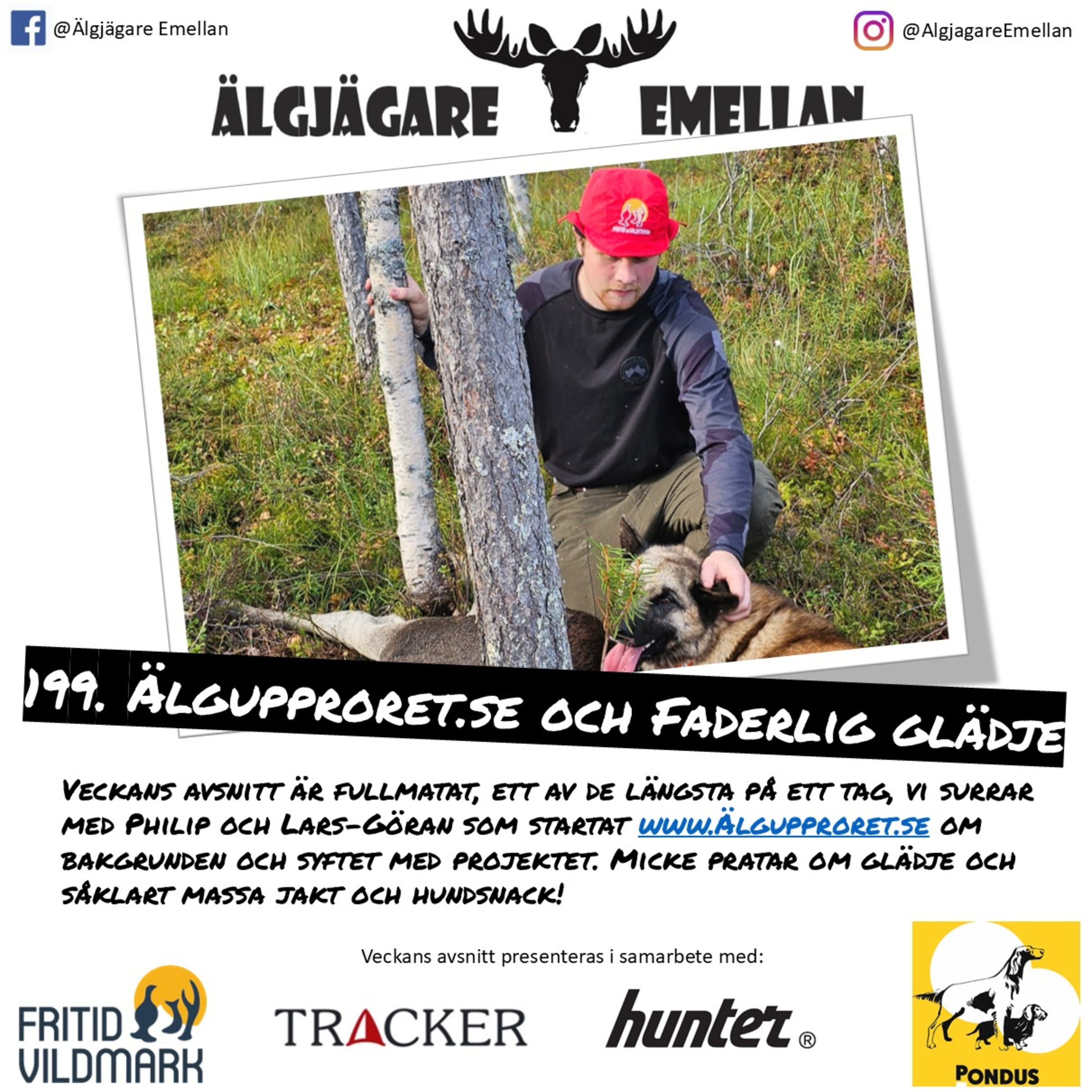 199. Älgupproret.se & Faderlig glädje episode artwork