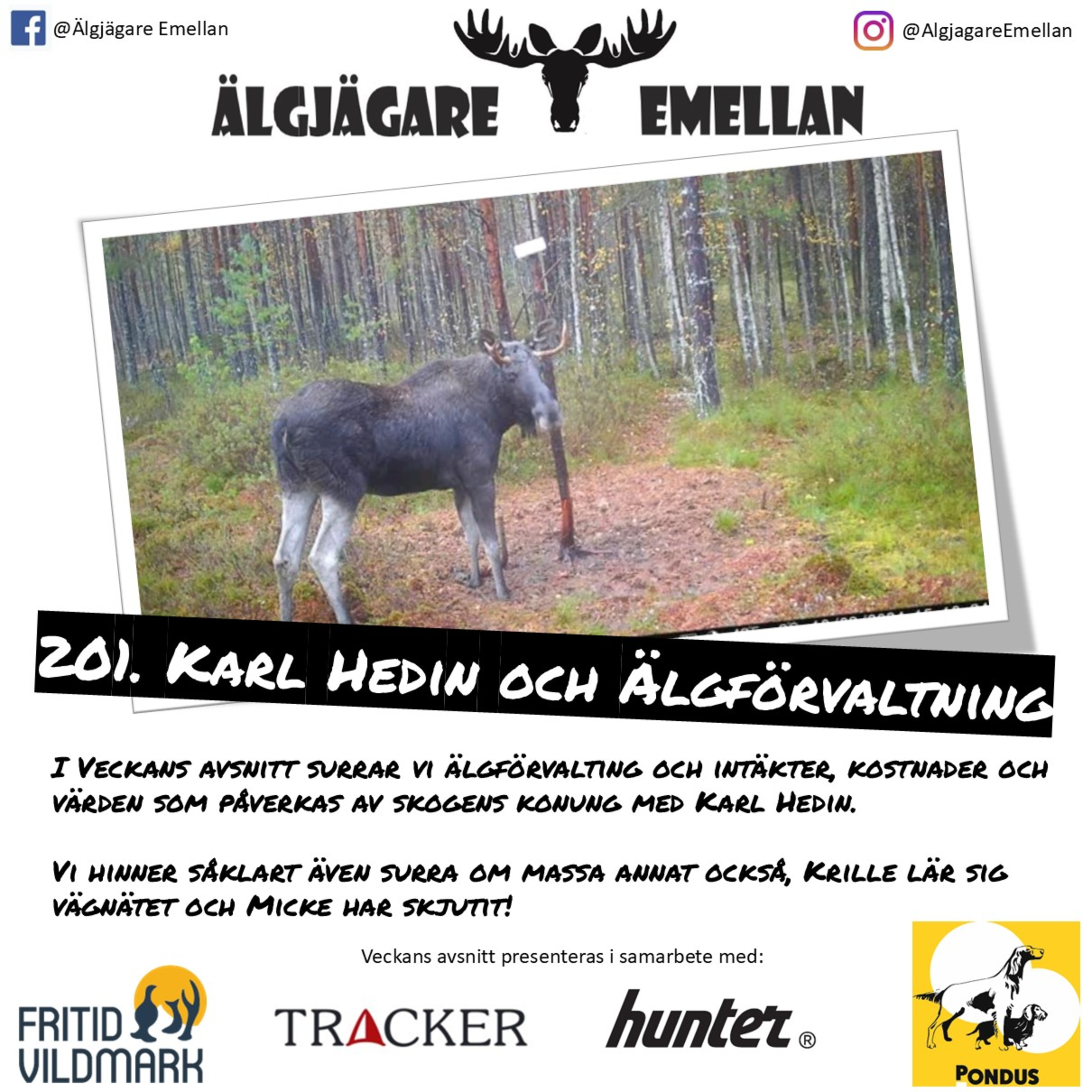 201. Karl Hedin & Älgförvaltning episode artwork