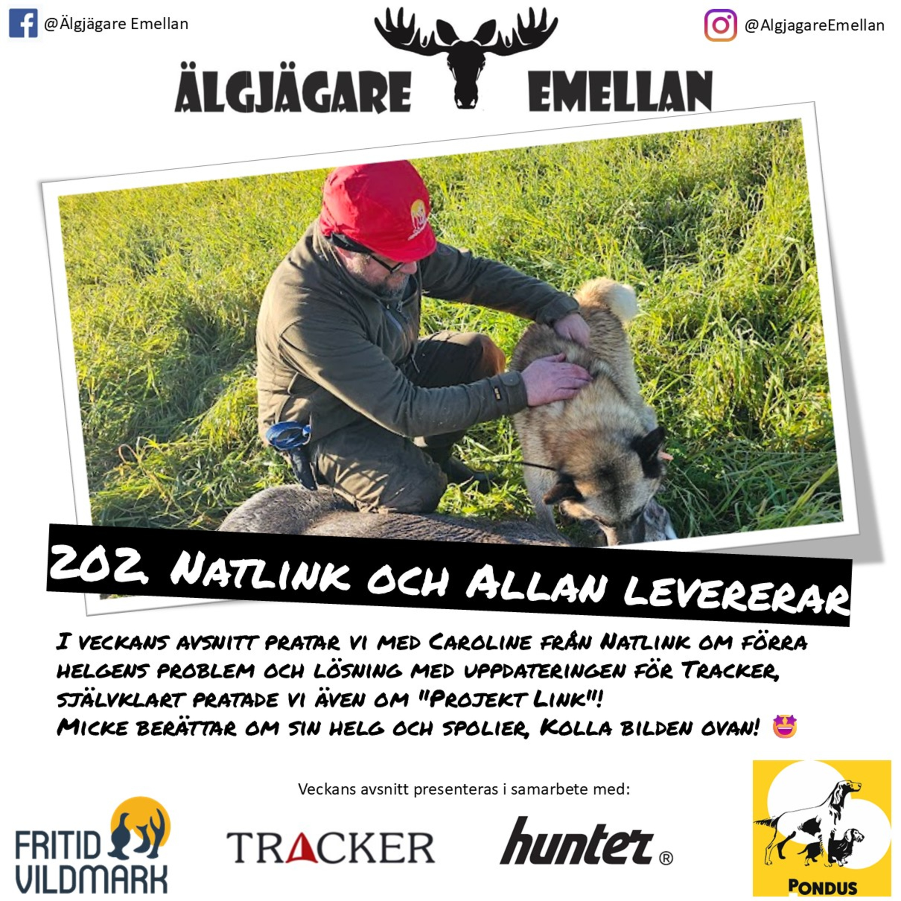 202. Natlink & Allan levererar episode artwork