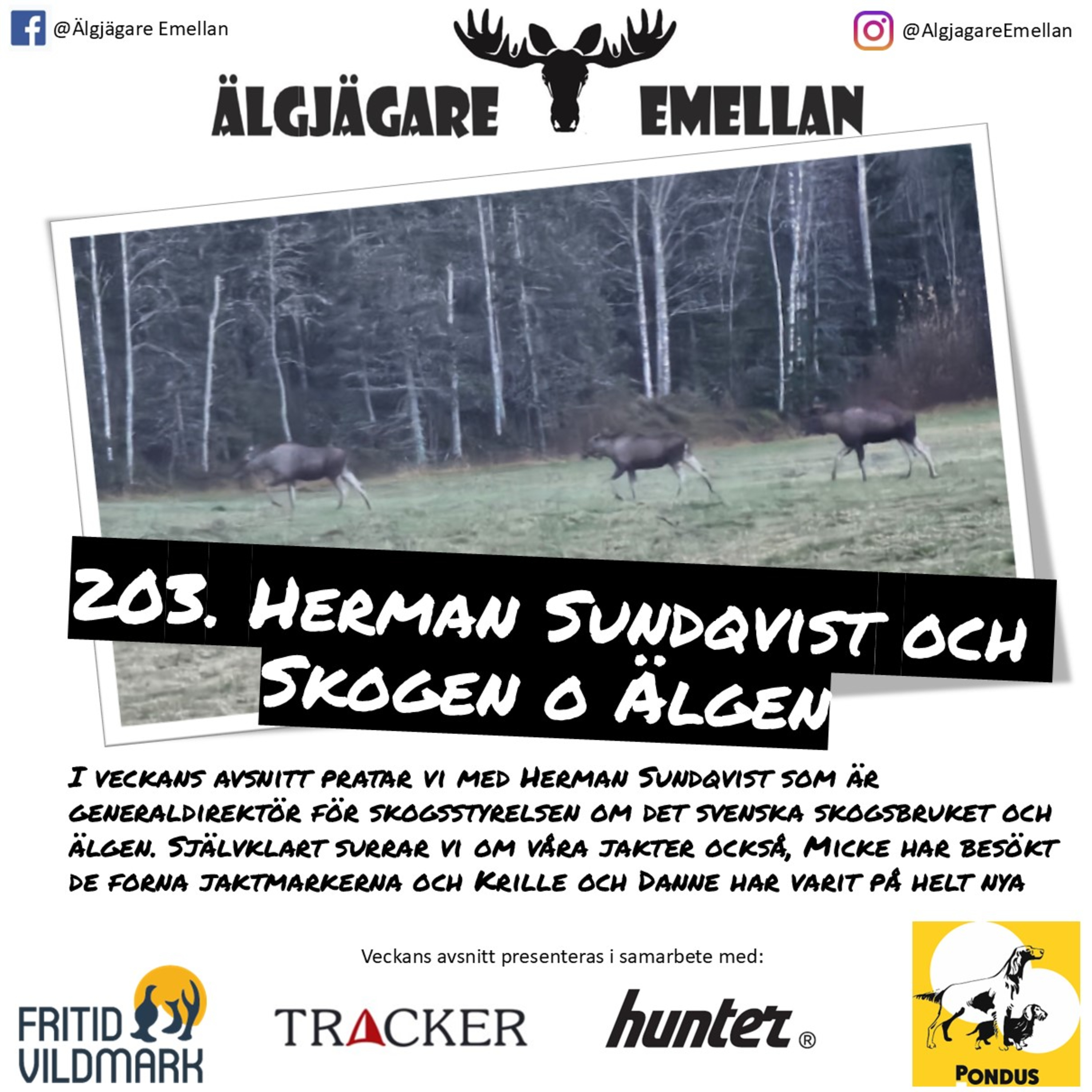 203. Herman Sundqvist & Skogen o Älgen episode artwork