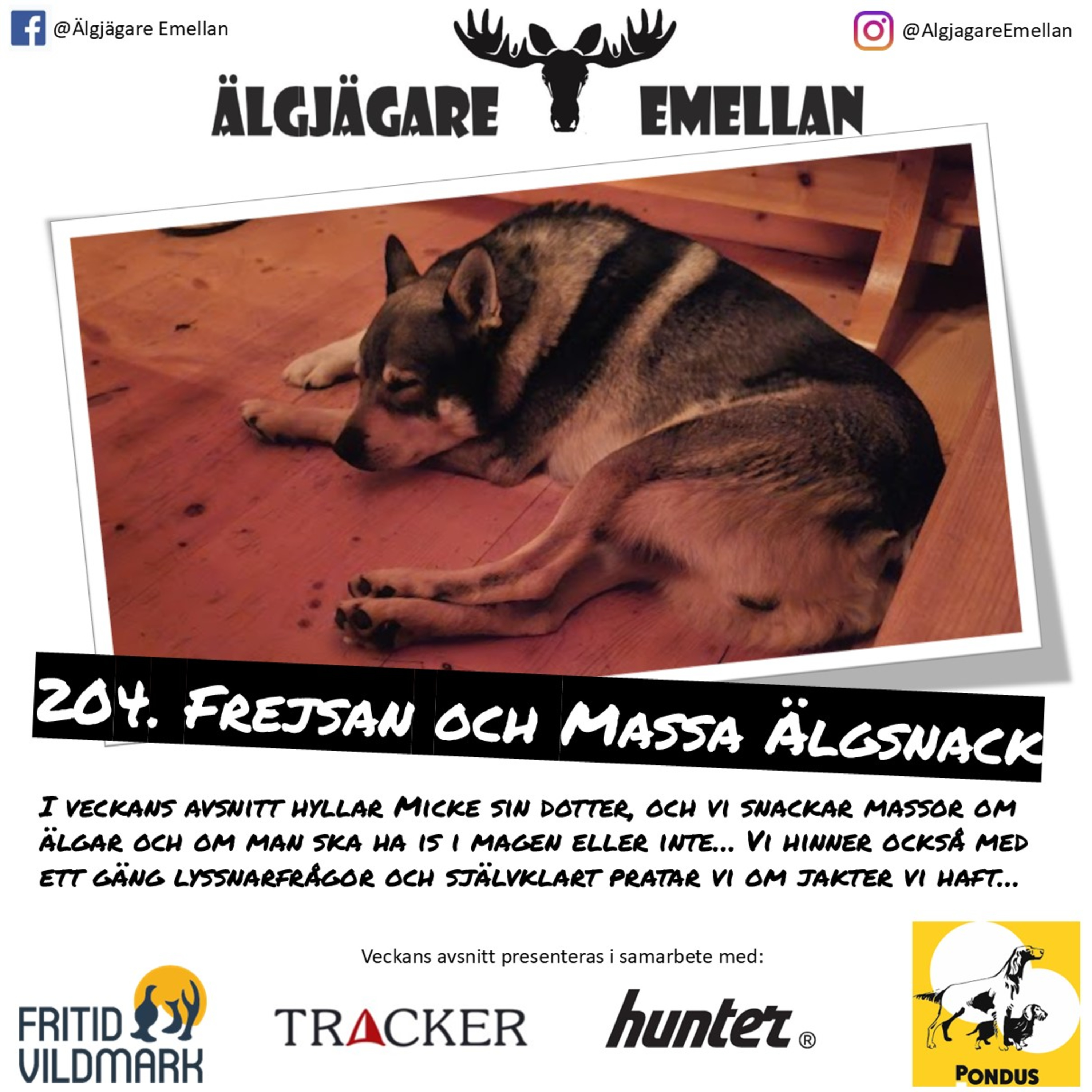 204. Frejsan & Massa Älgsnack episode artwork
