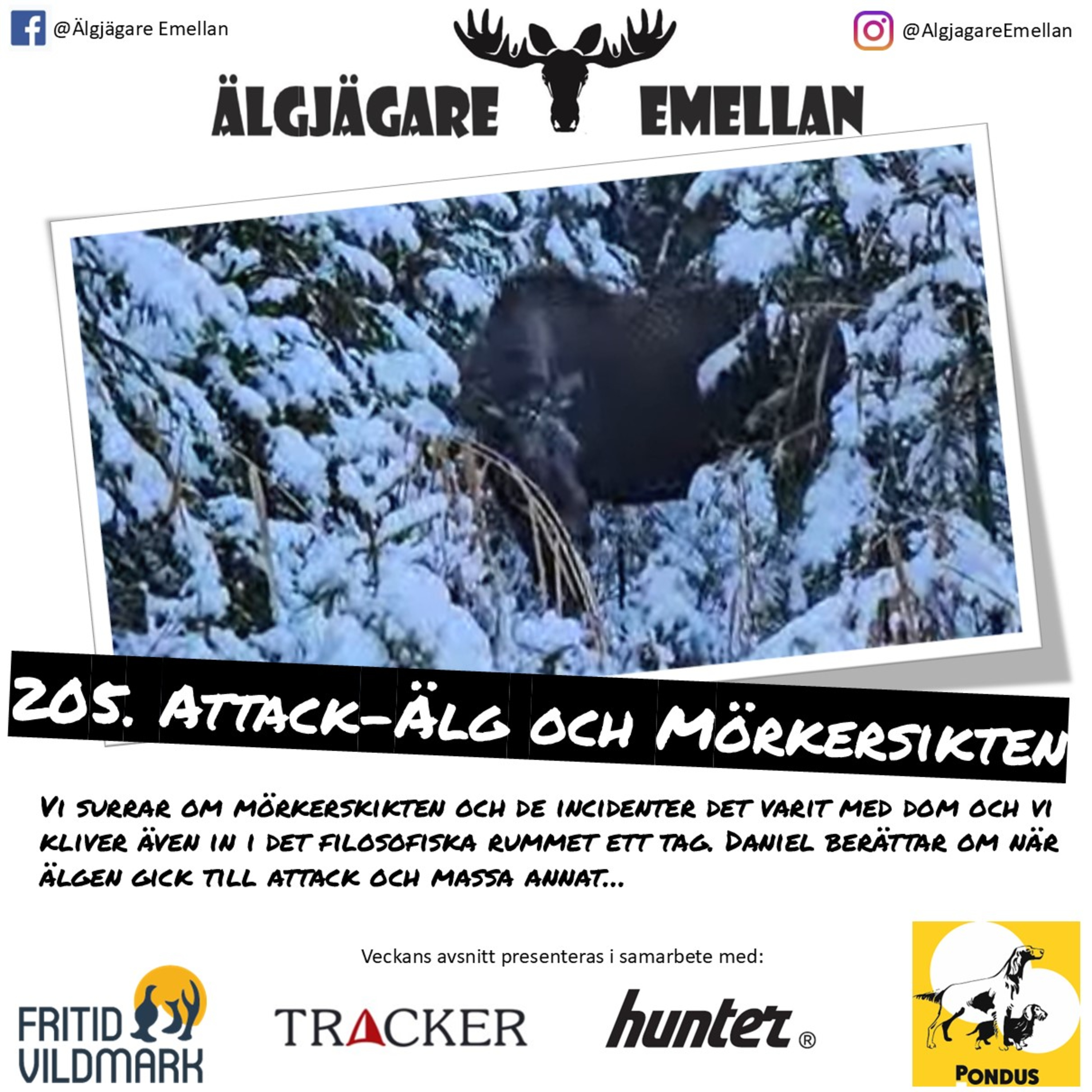 205. Attack-Älg & Mörkersikten episode artwork