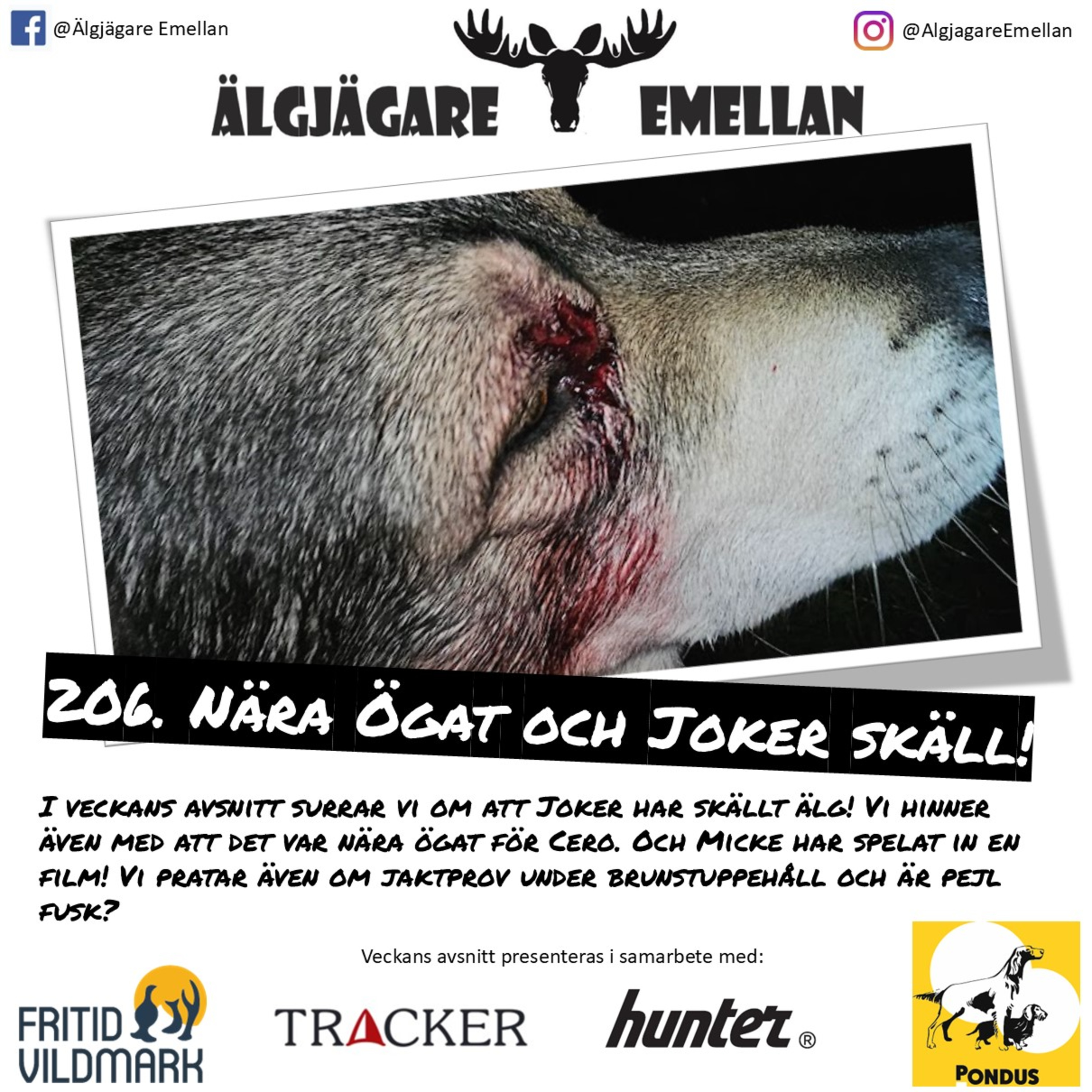 206. Nära Ögat & Joker skäll! episode artwork