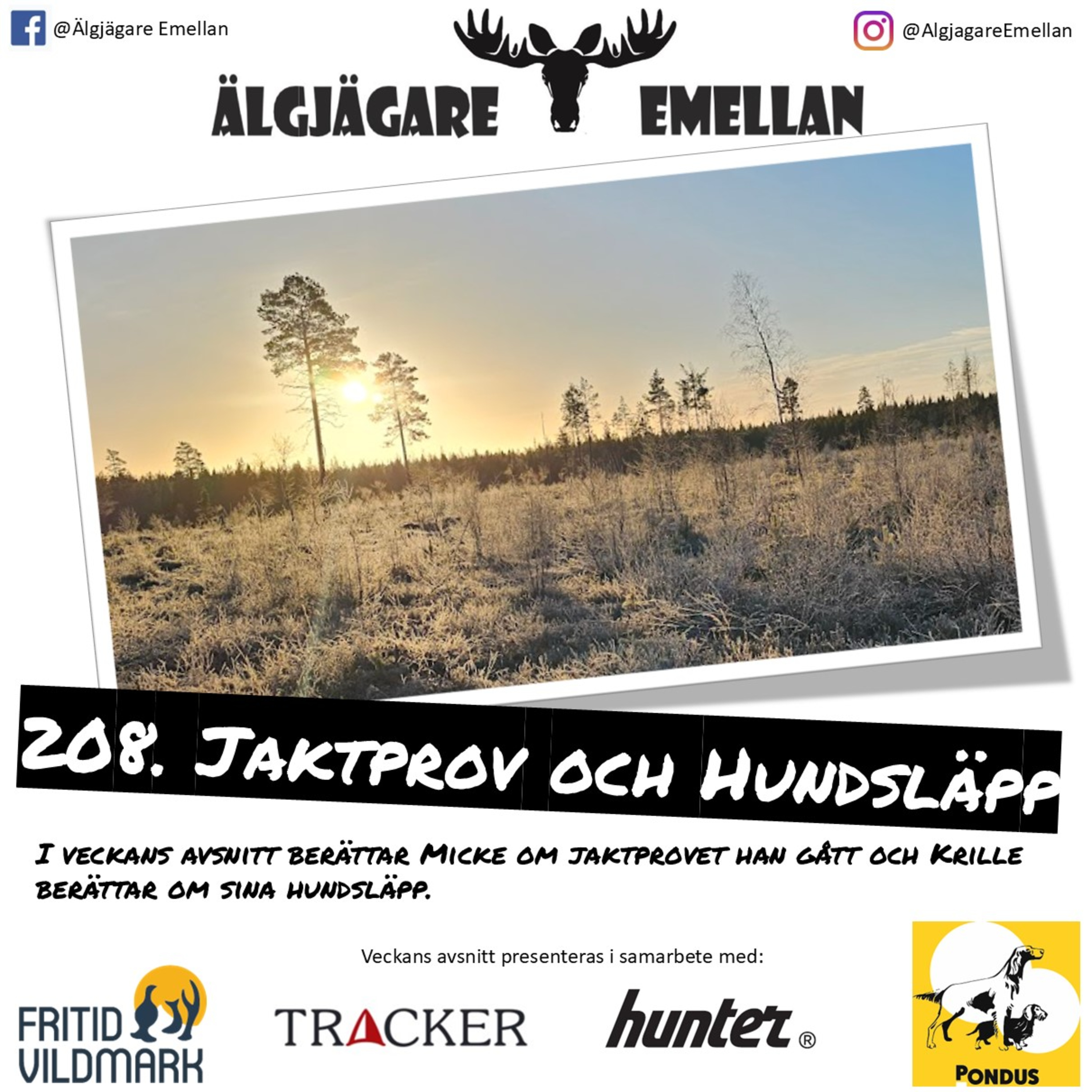 208. Jaktprov & Hundsläpp episode artwork