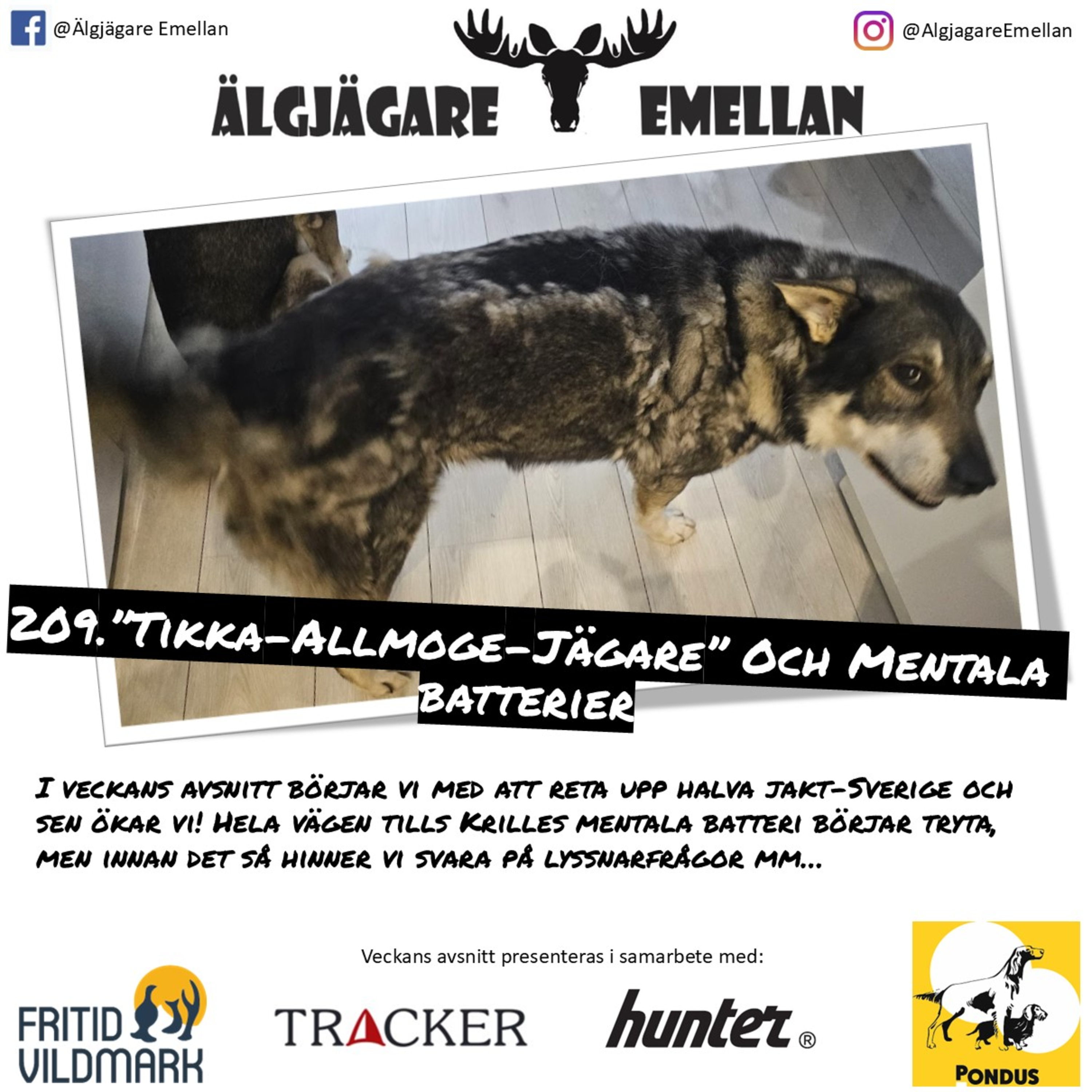 209. ”Tikka-Allmoge-Jägare” & Mentala batterier episode artwork