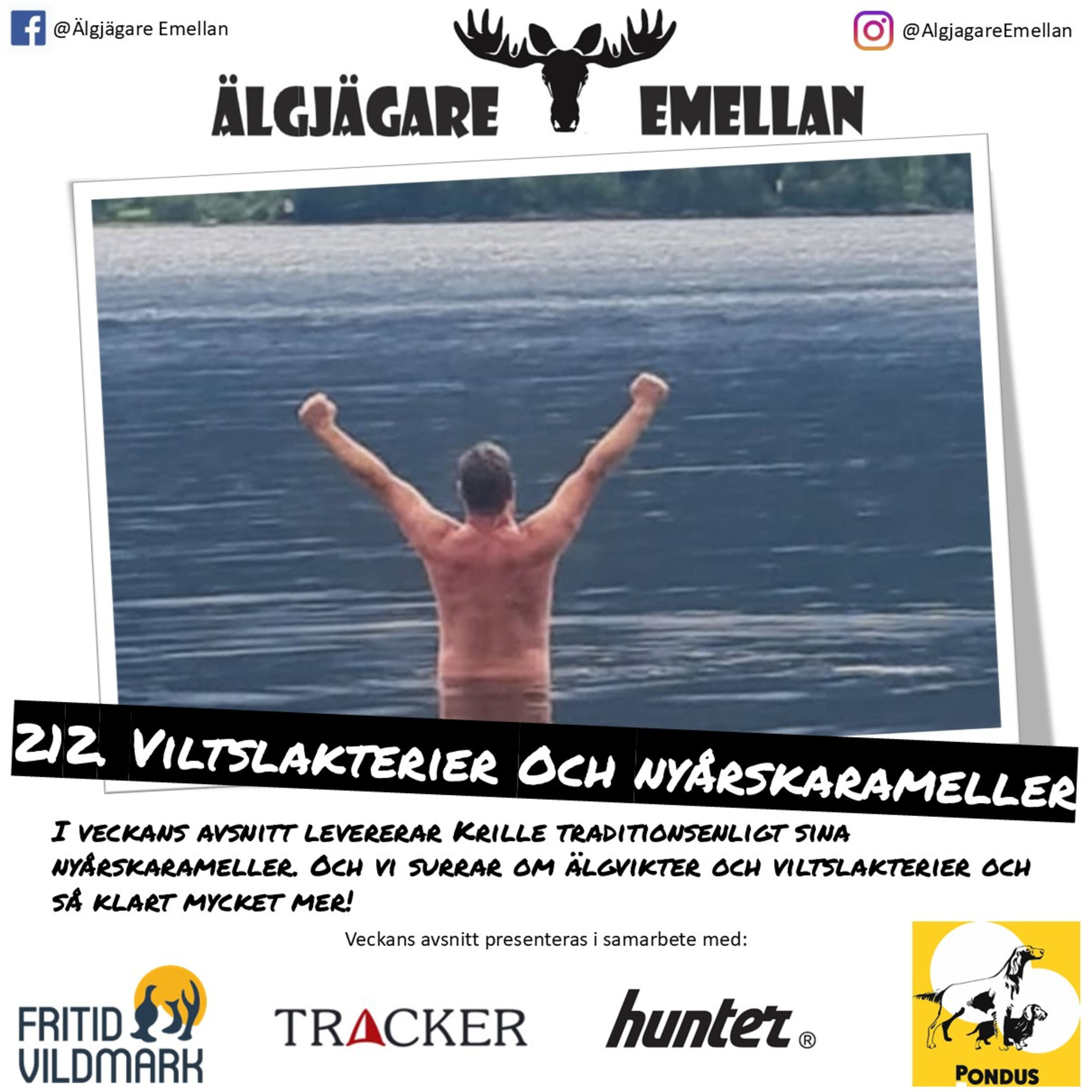 212. Viltslakterier & Nyårskarameller  episode artwork