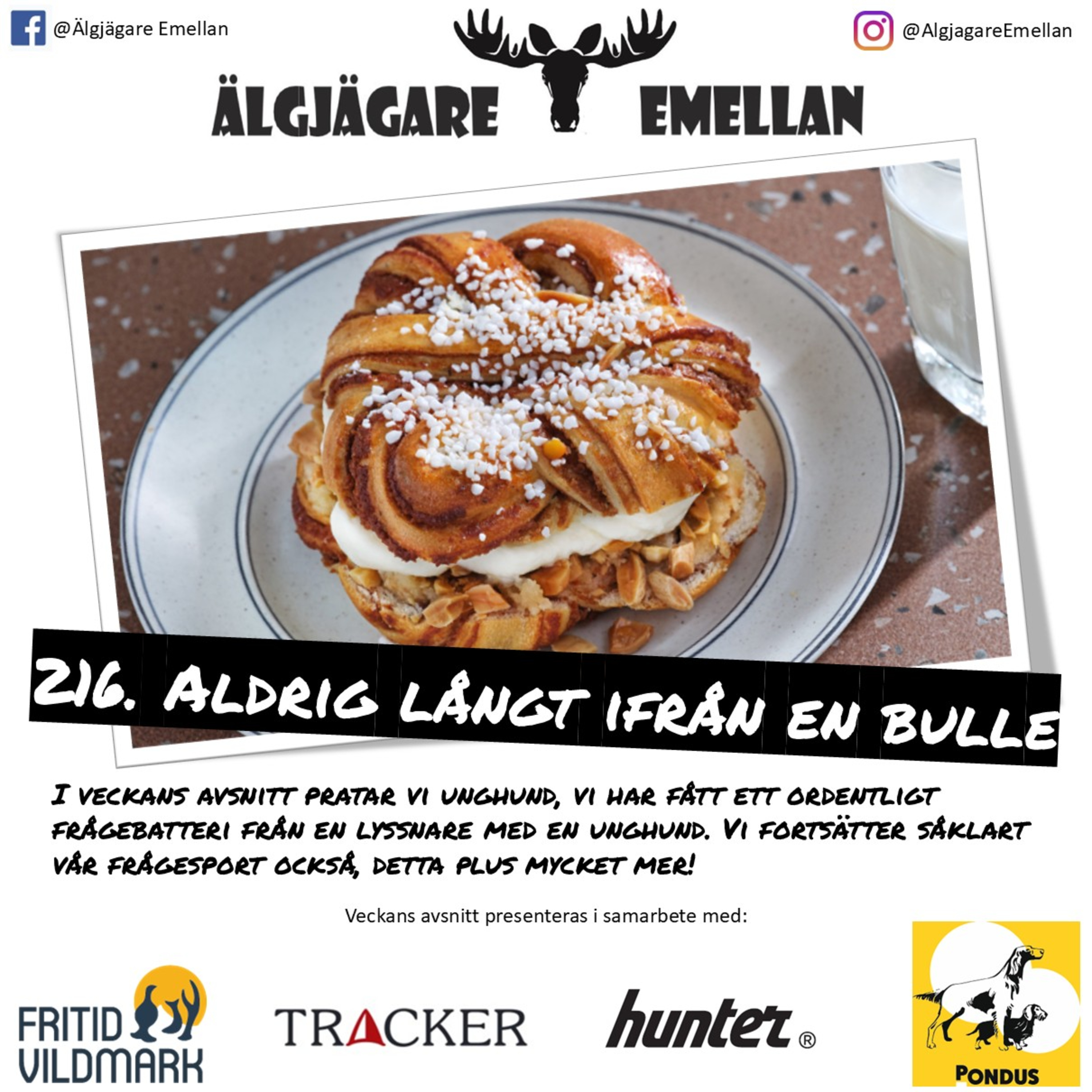 216. Aldrig långt ifrån en bulle episode artwork