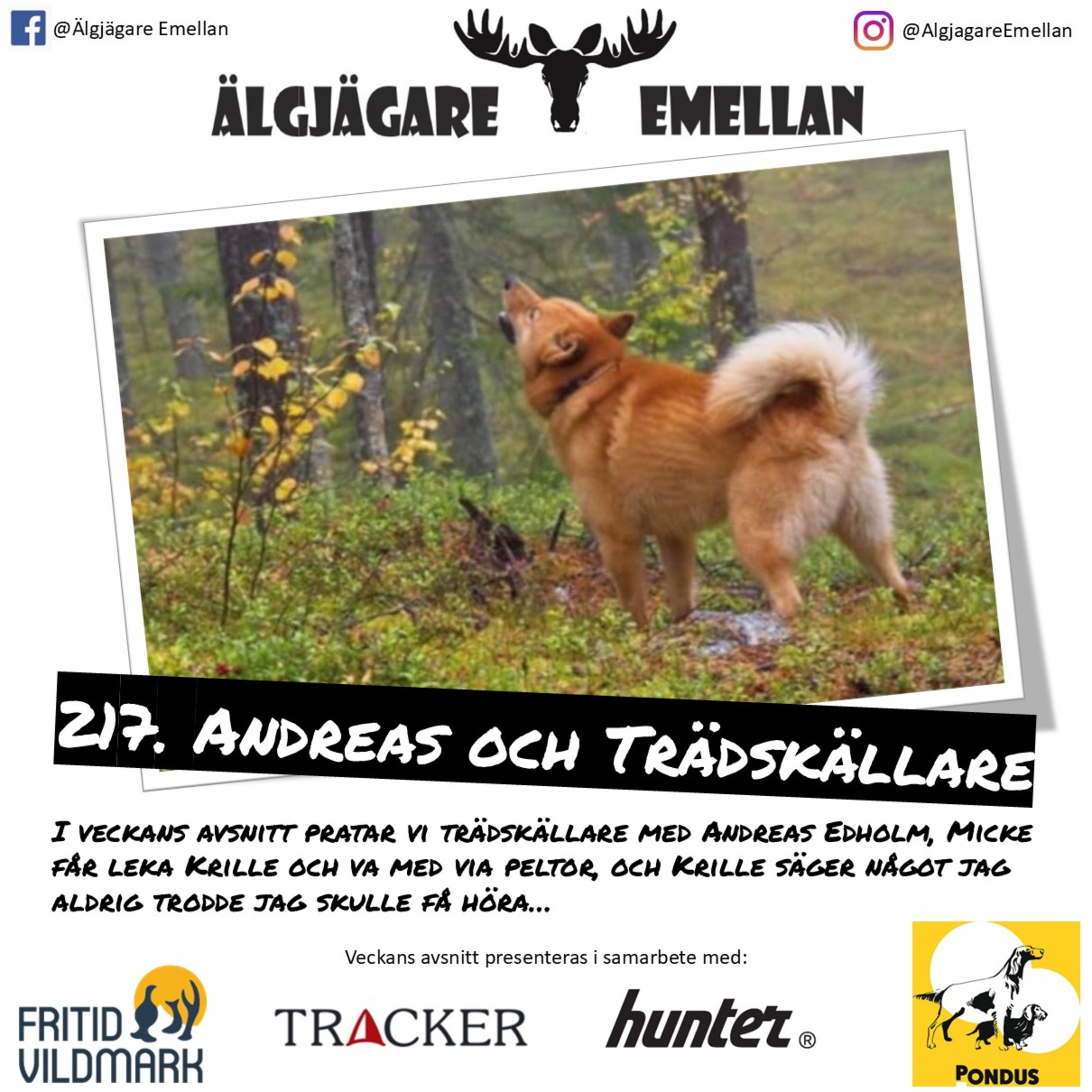 217. Andreas & Trädskällare episode artwork