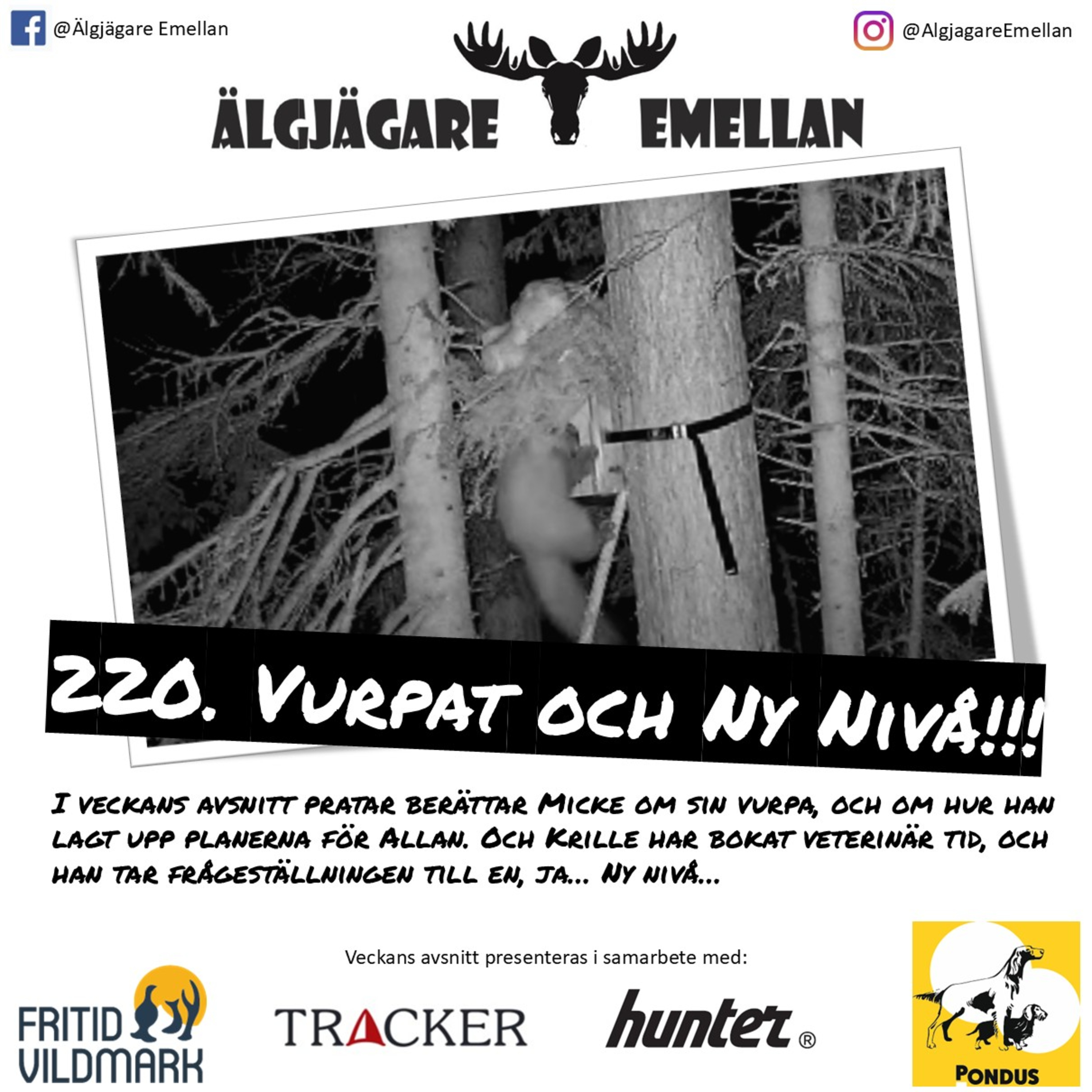 220. Vurpat & Ny Nivå! episode artwork