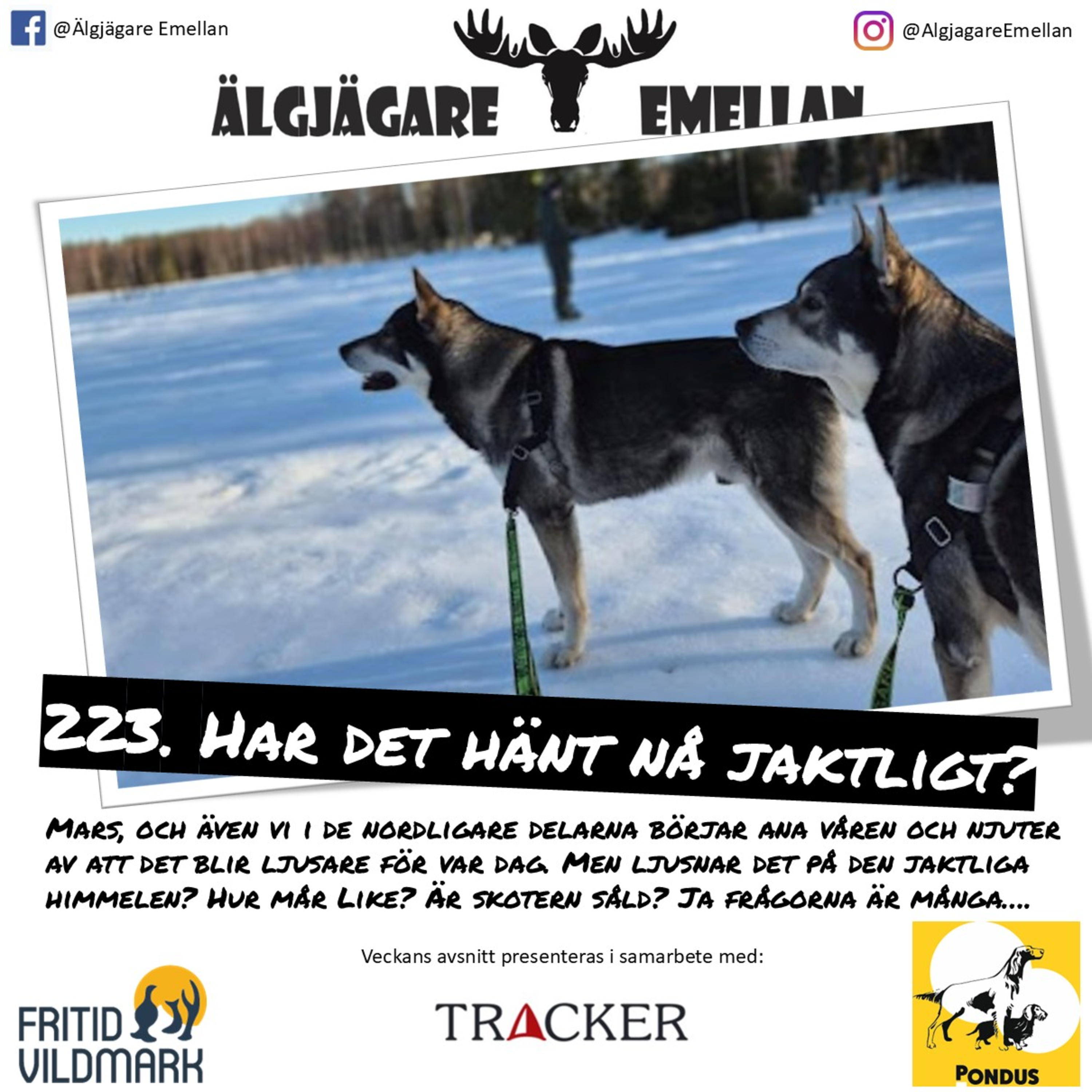 223. Har det hänt nå jaktligt? episode artwork