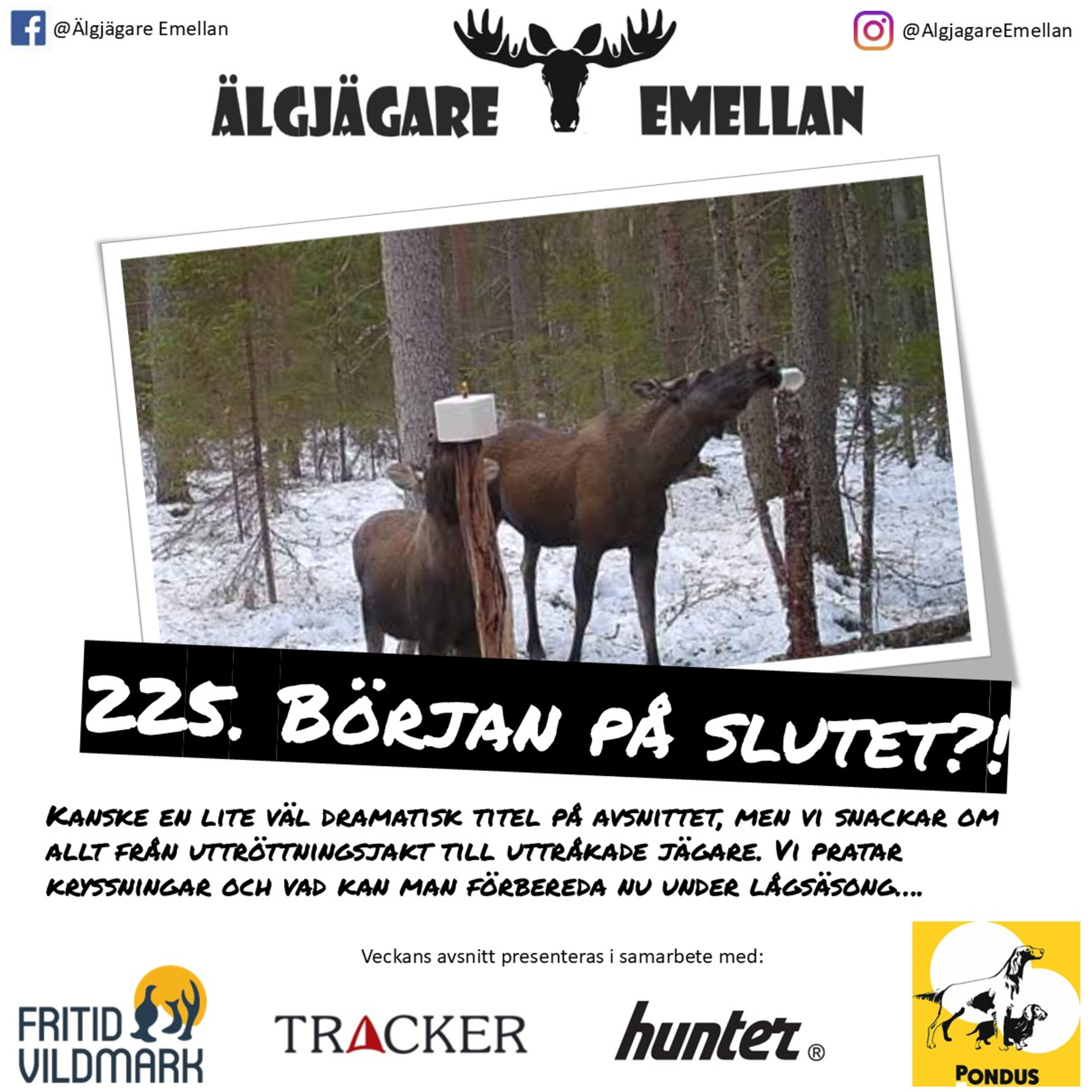 225. Början på slutet?! episode artwork