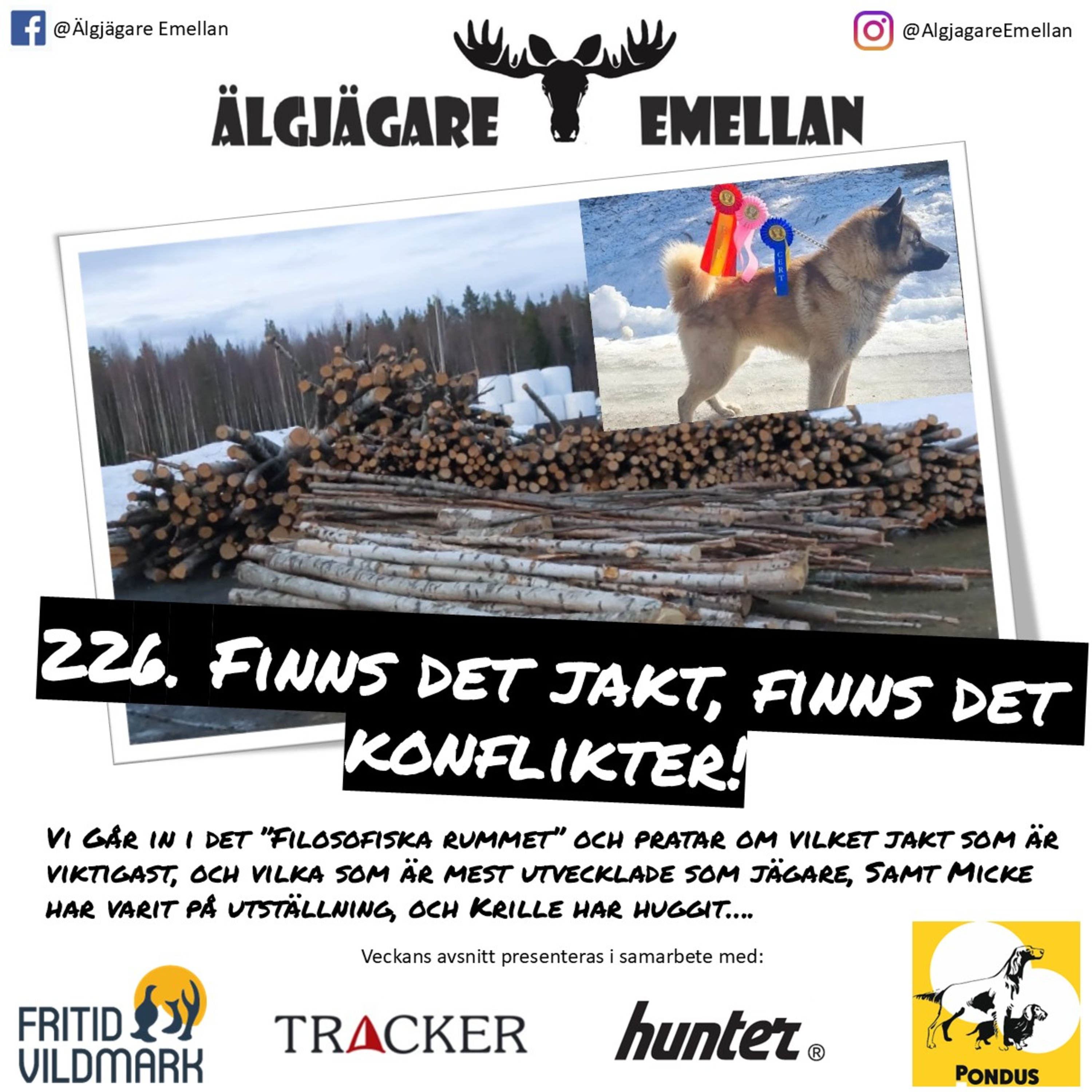 226. Finns det jakt, finns det konflikter! episode artwork