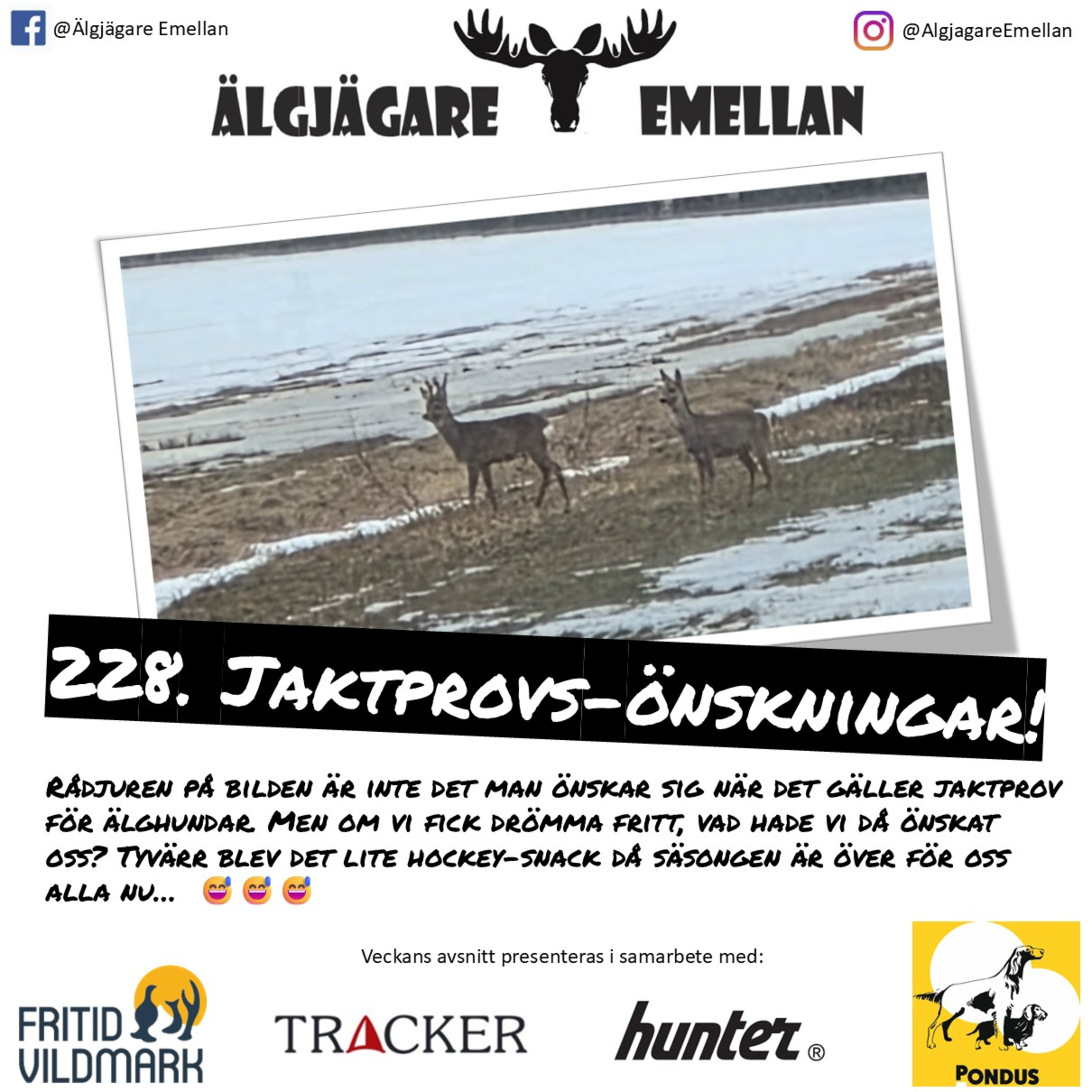 228. Jaktprovs-önskningar! episode artwork