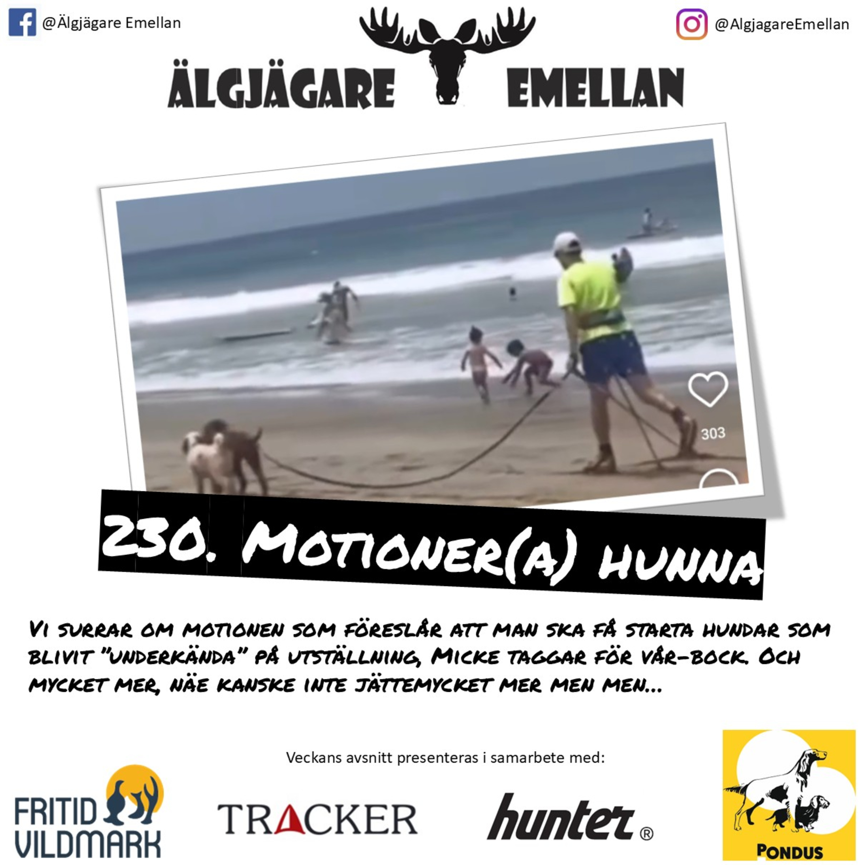 230. Motioner(a) hunna episode artwork