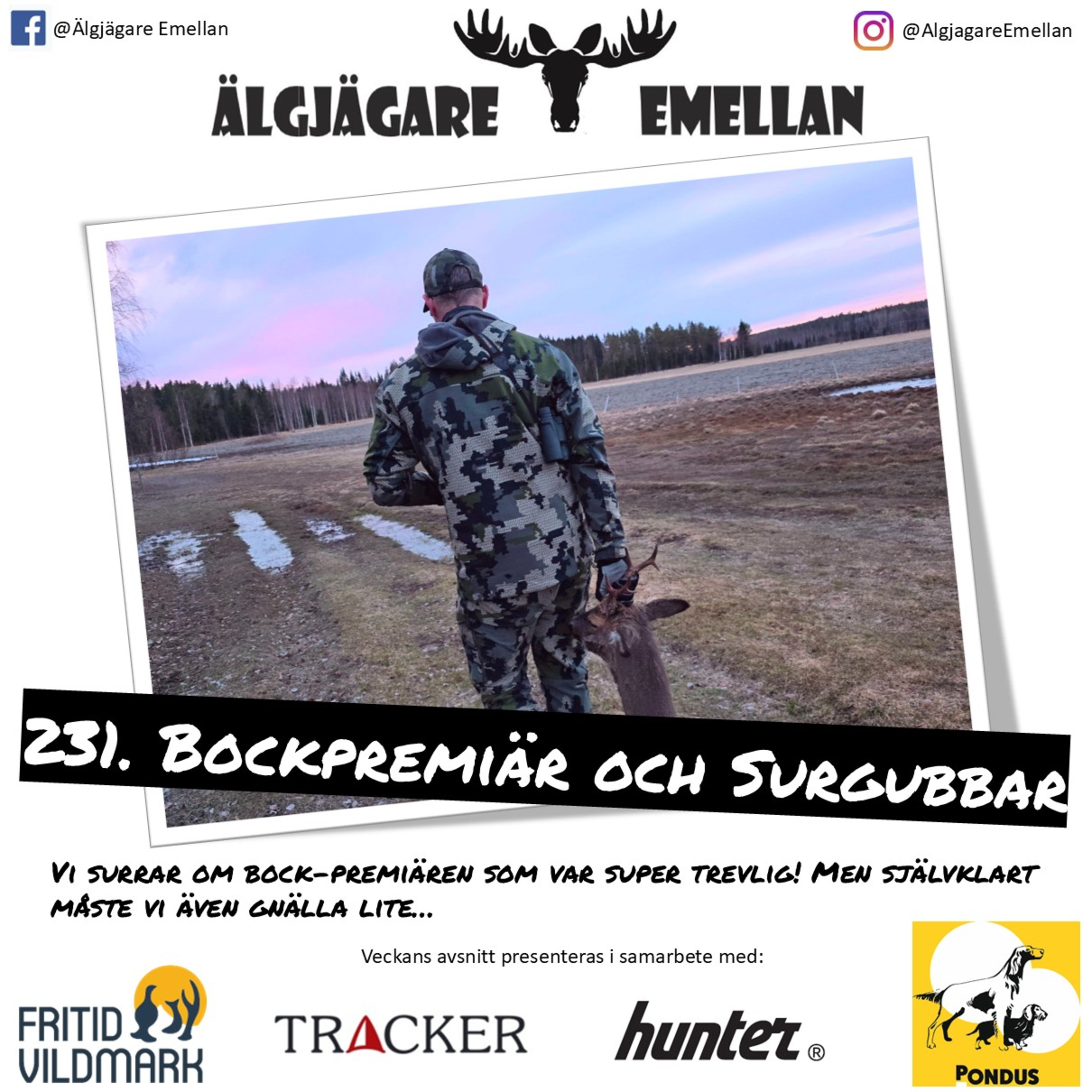231. Bockpremiär & Surgubbar episode artwork