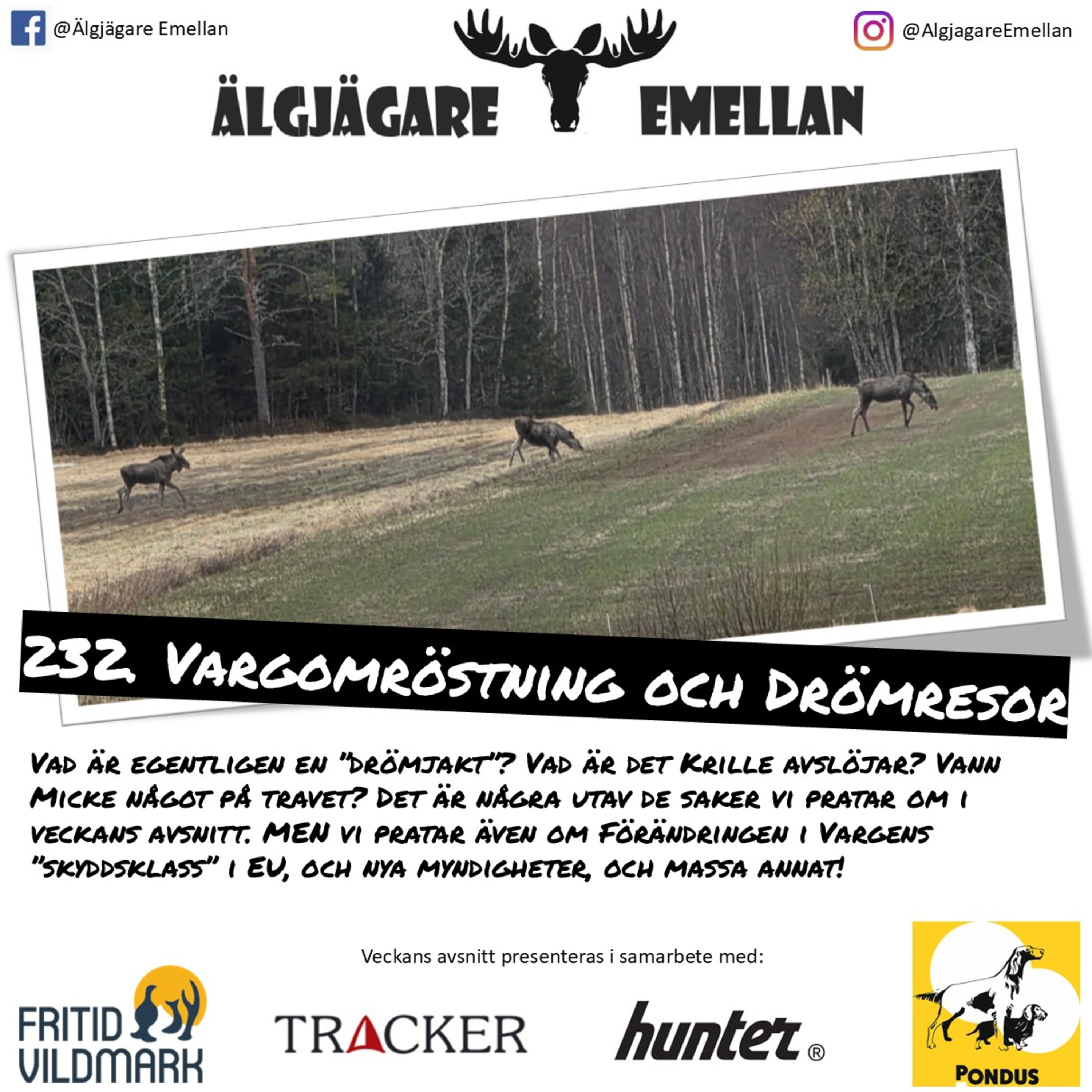 232. Vargomröstning & Drömresor episode artwork