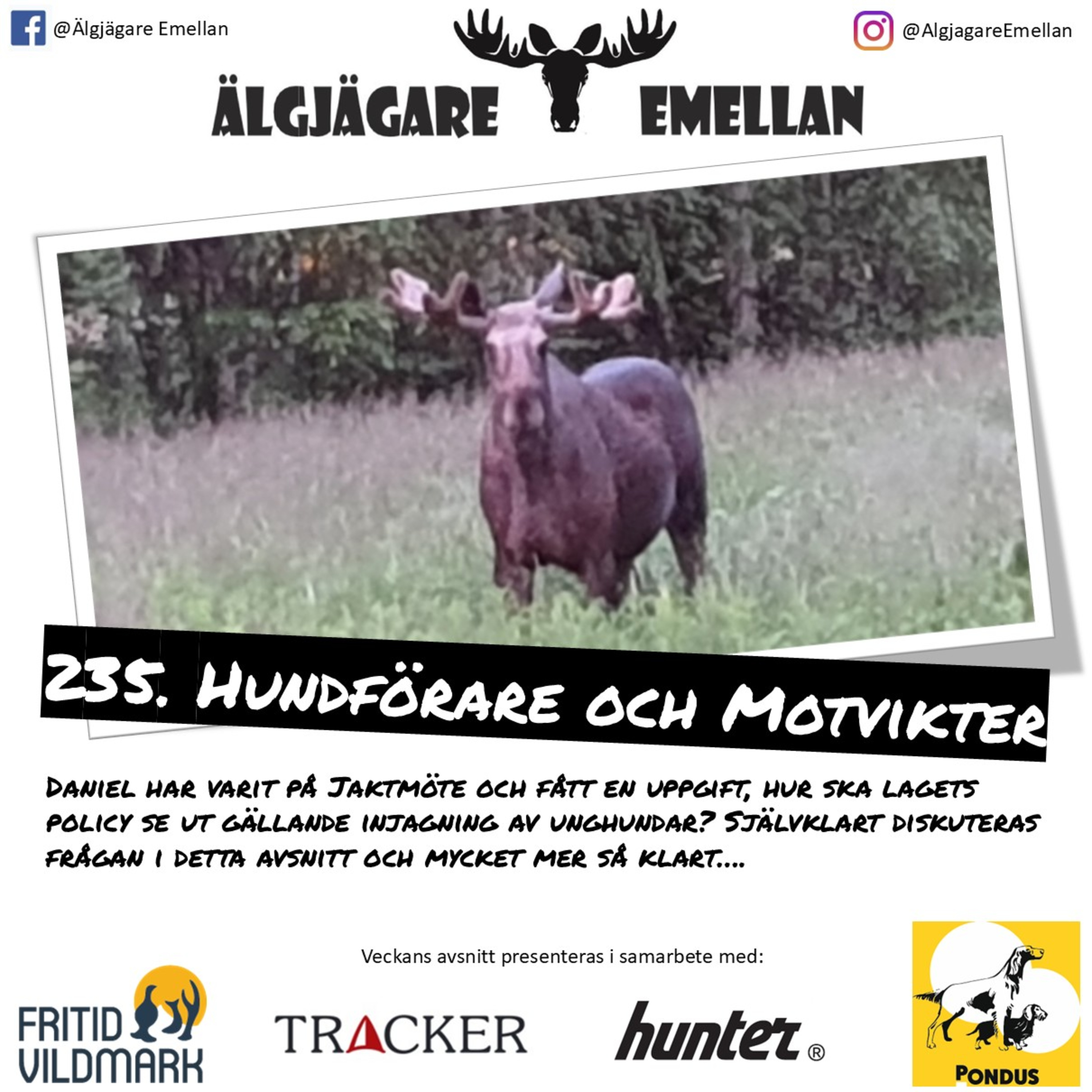 235. Hundförare & Motvikter episode artwork