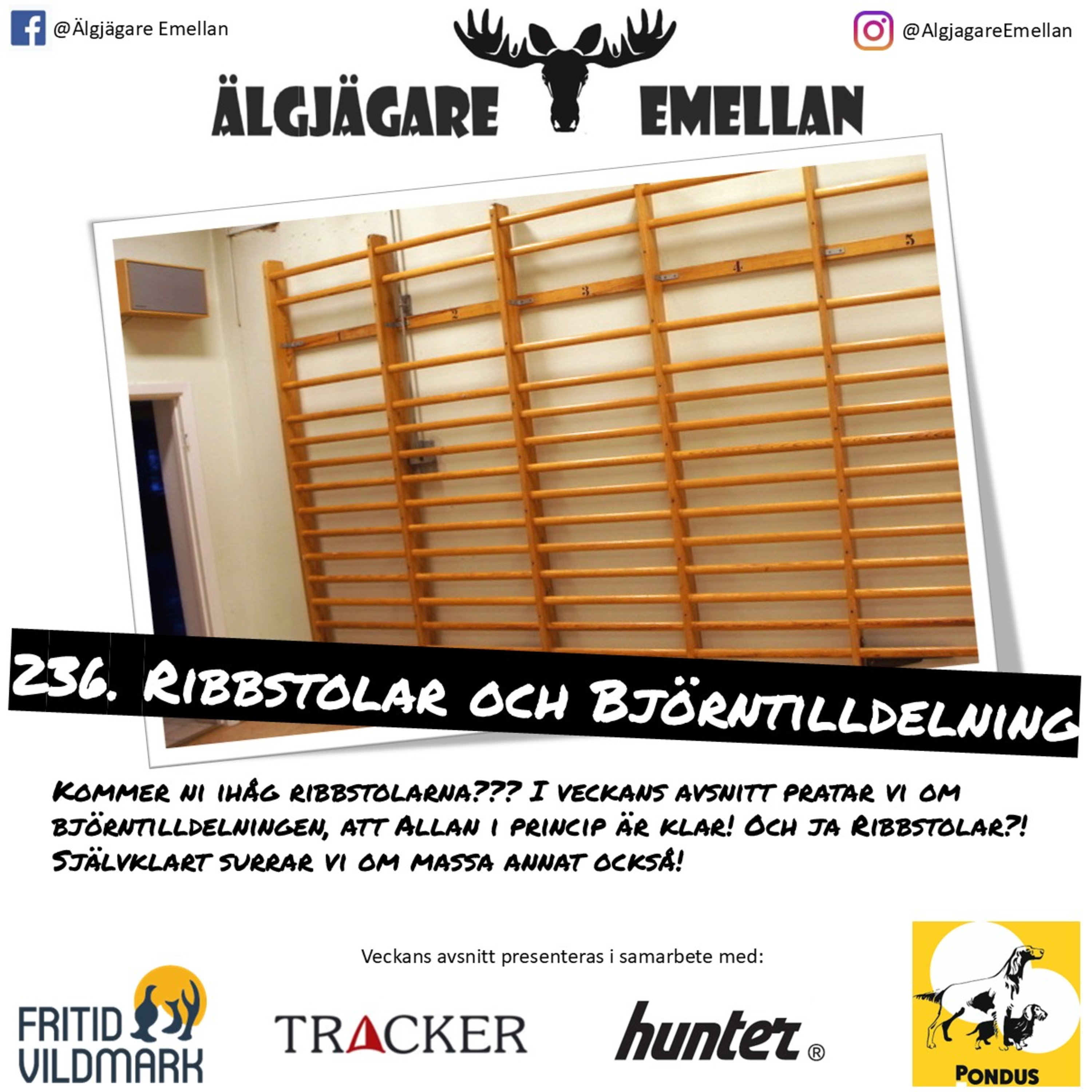 236. Ribbstolar & Björntilldelning episode artwork