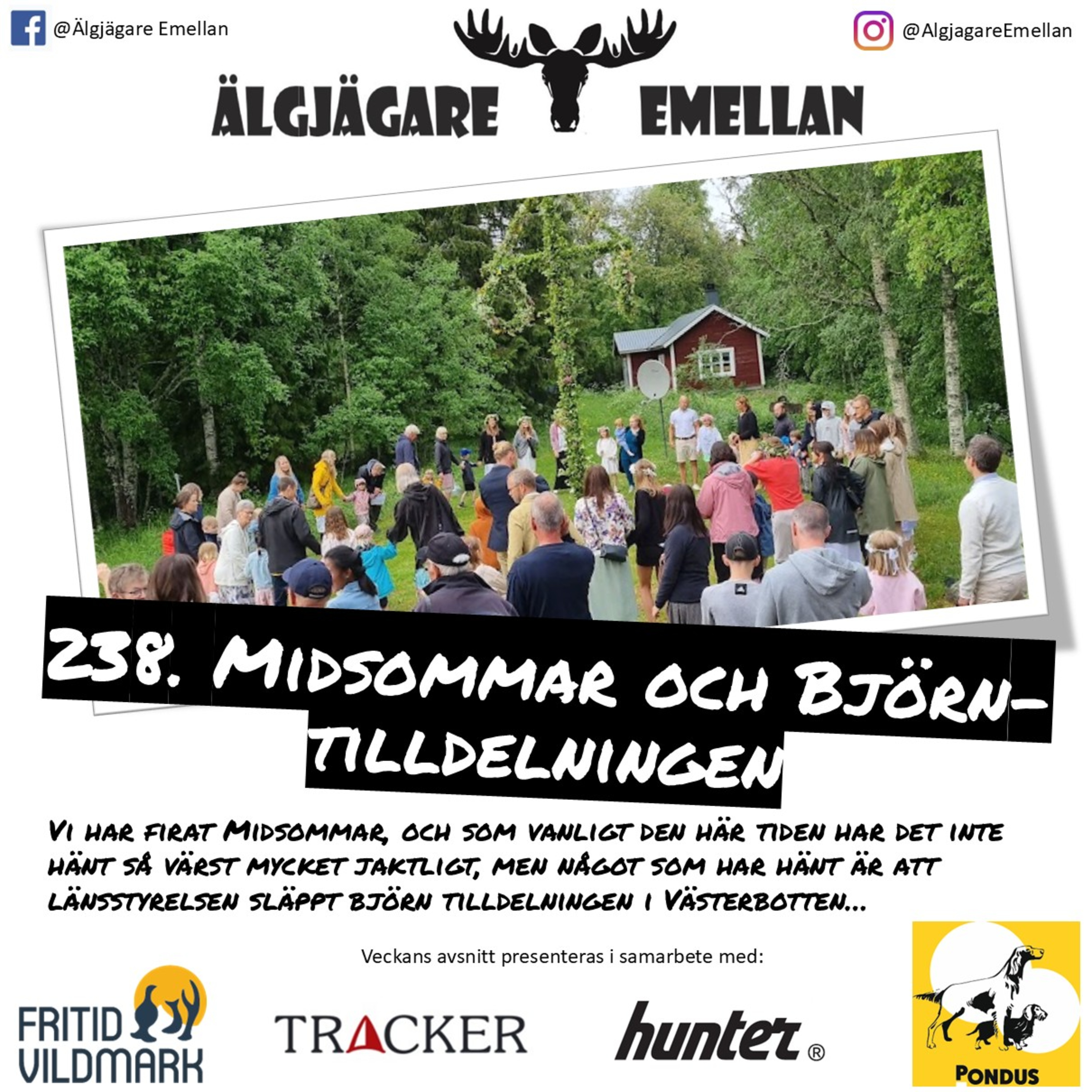 238. Midsommar & Björn-tilldelningen episode artwork
