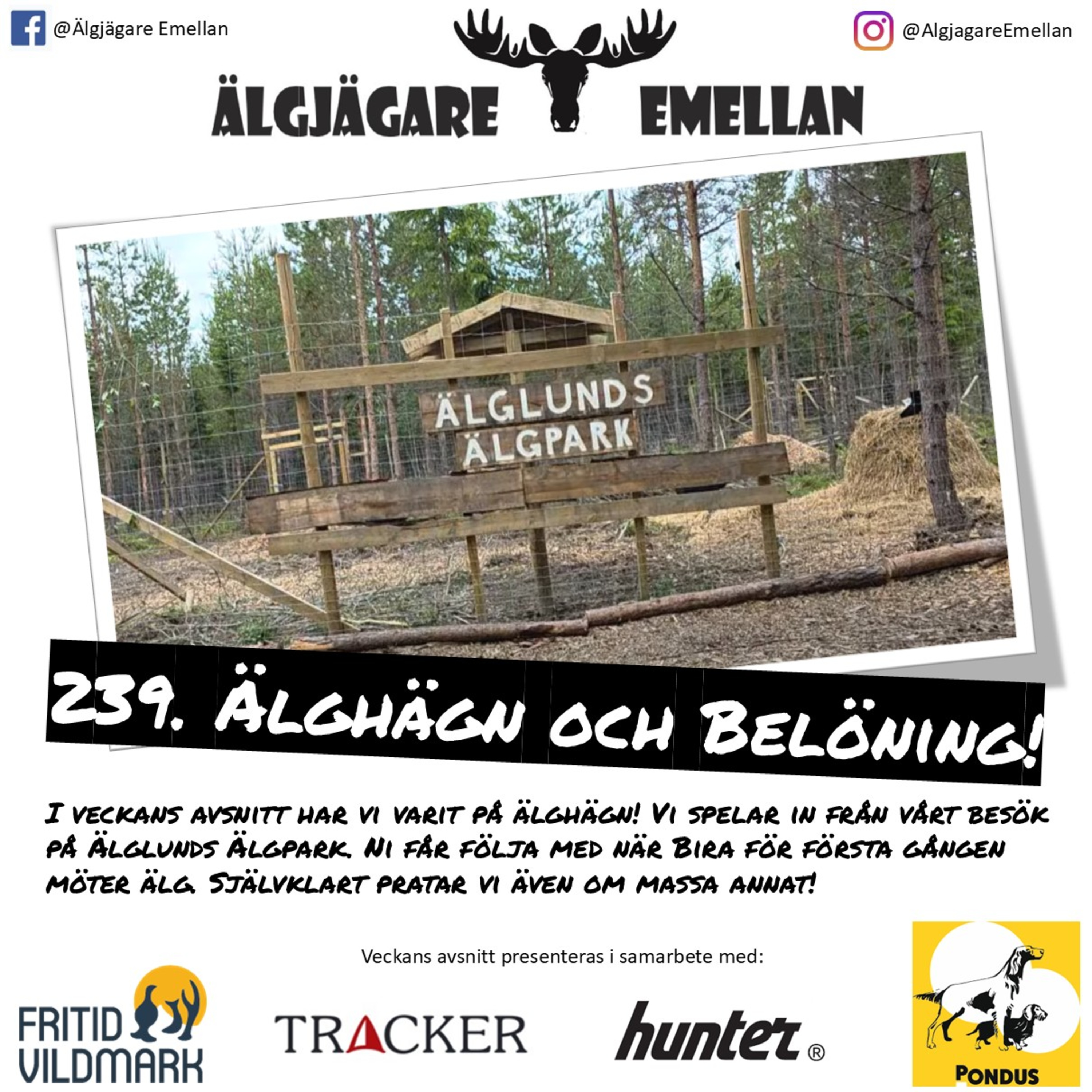 239. Älghägn & Belöning! episode artwork