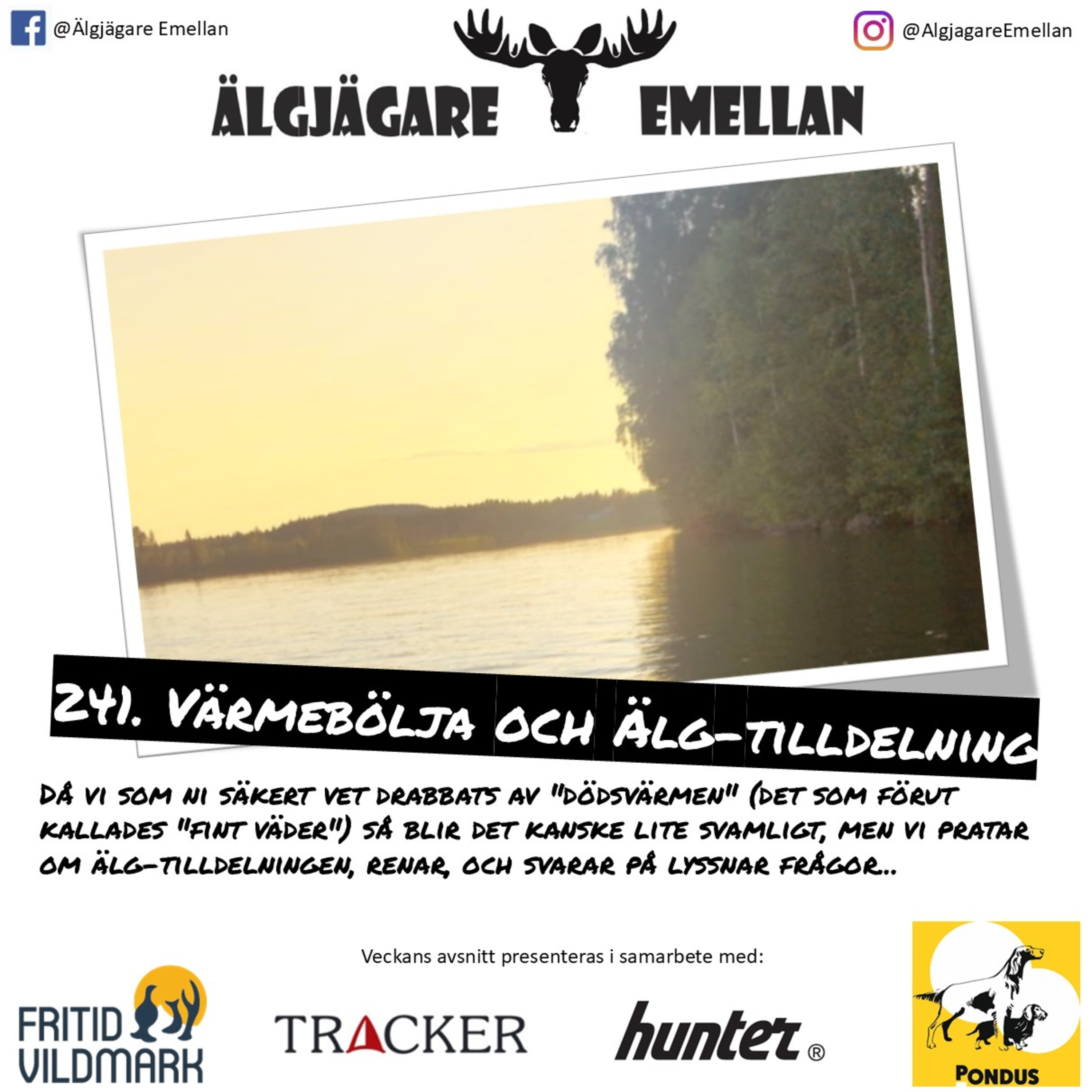 241. Värmebölja & Älg-tilldelning episode artwork
