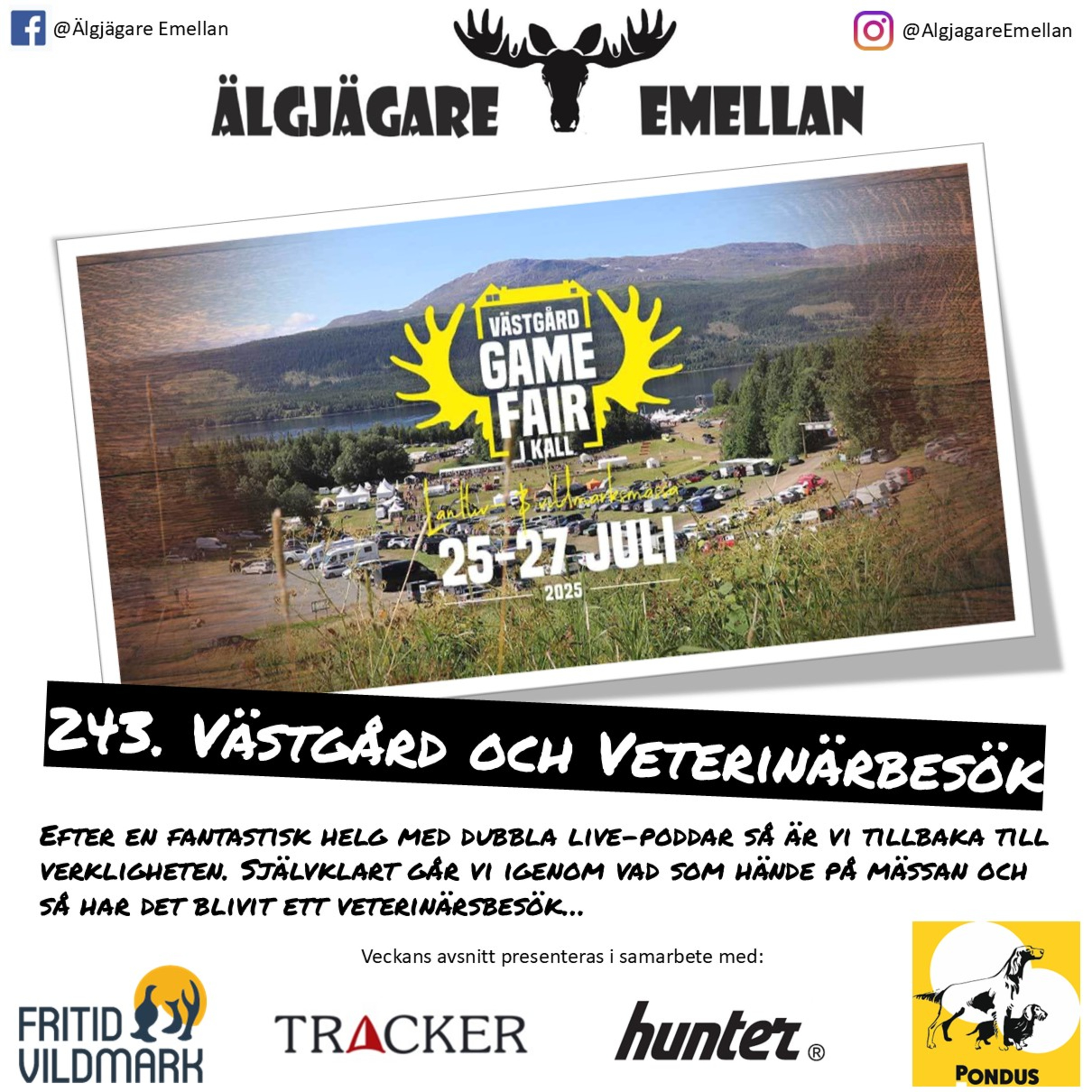 243. Västgård & Veterinärbesök episode artwork