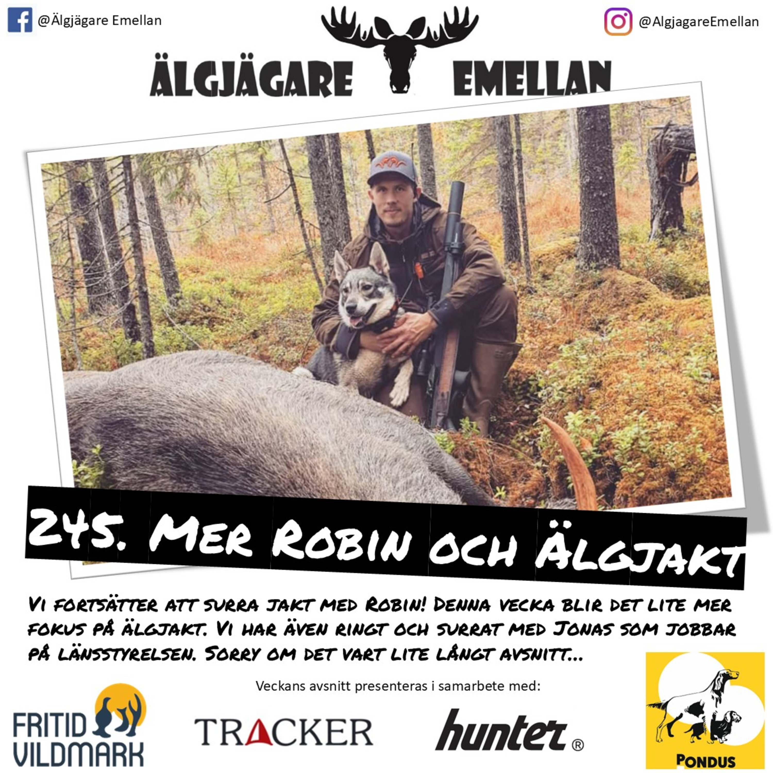 245. Mer Robin & Älgjakt episode artwork