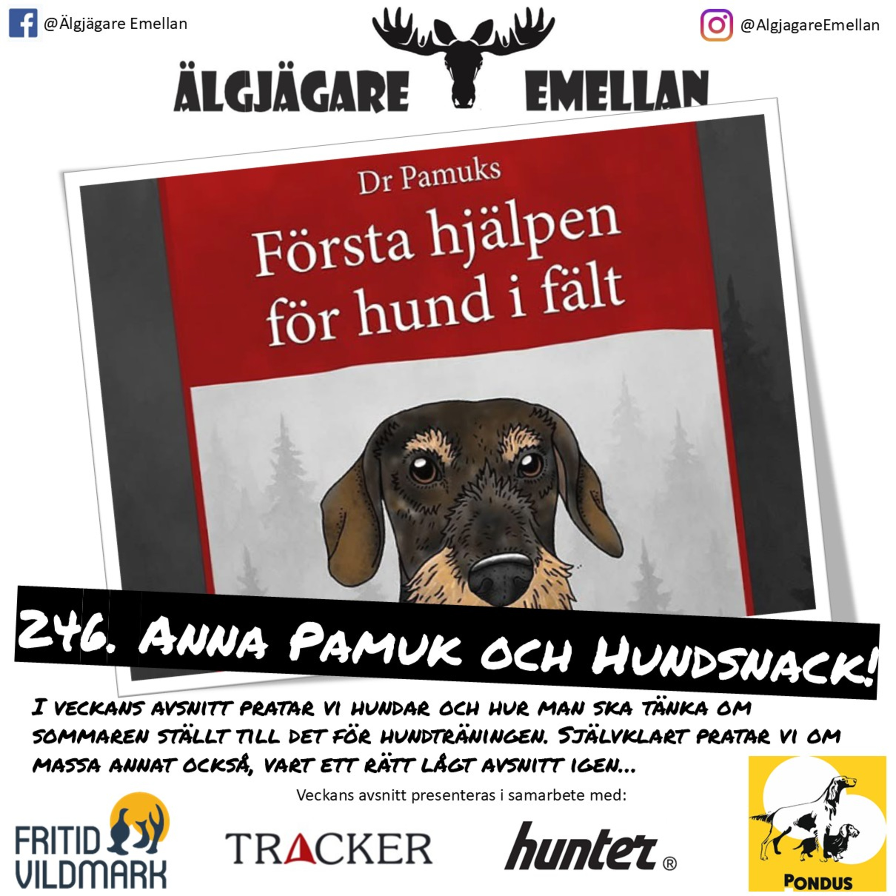 246. Anna Pamuk & Hundsnack! episode artwork