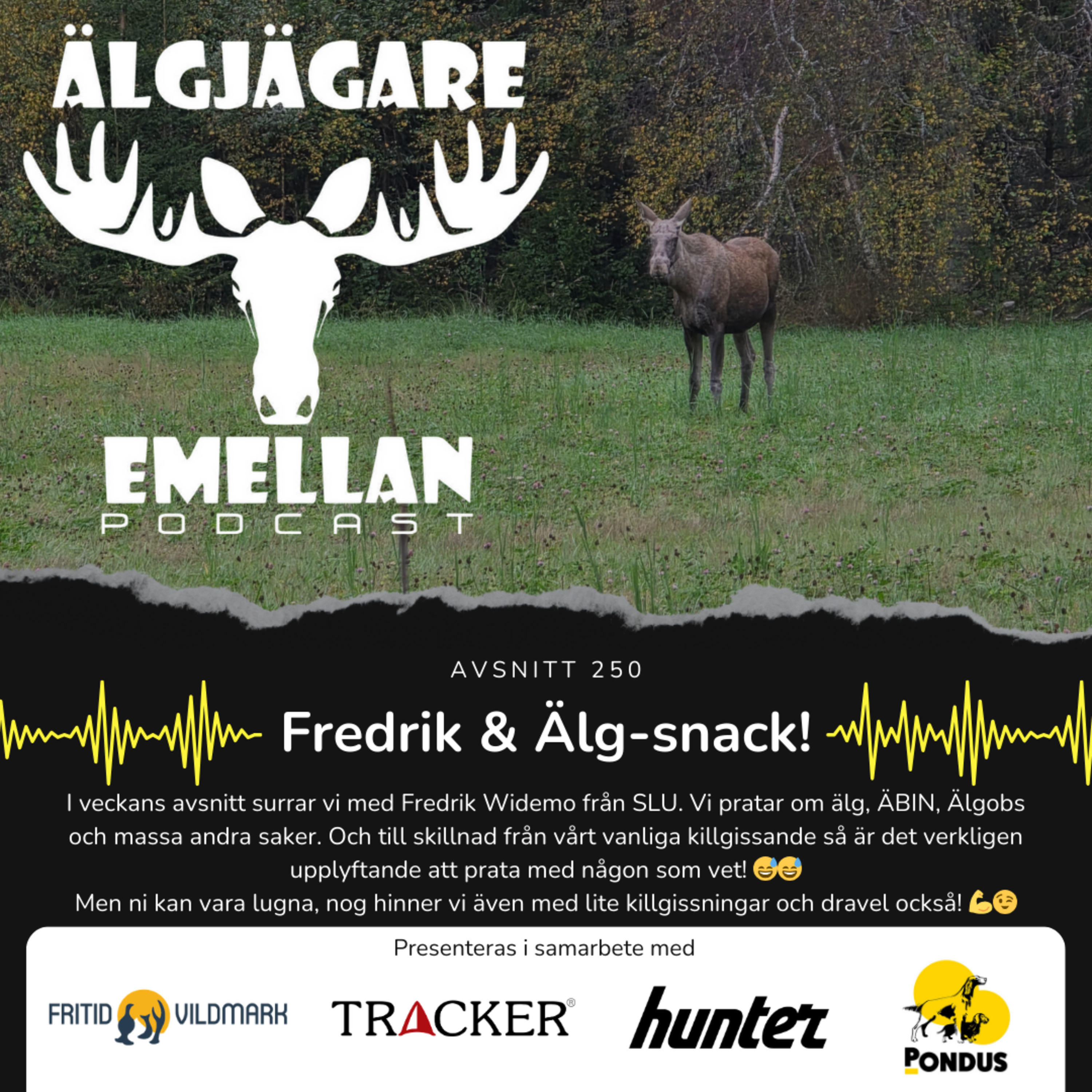 250. Fredrik & Älg-snack!  episode artwork