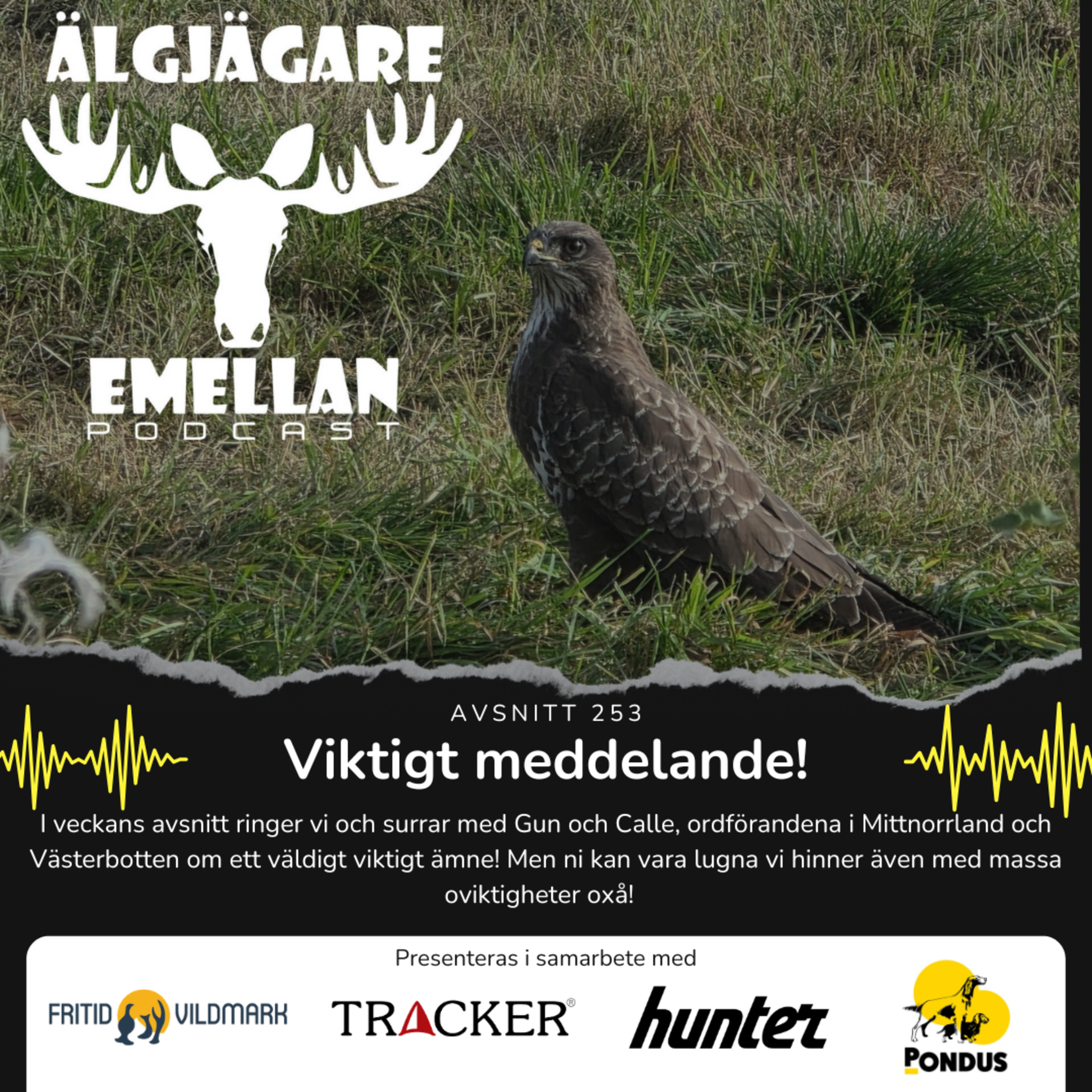 235. Viktigt meddelande! episode artwork