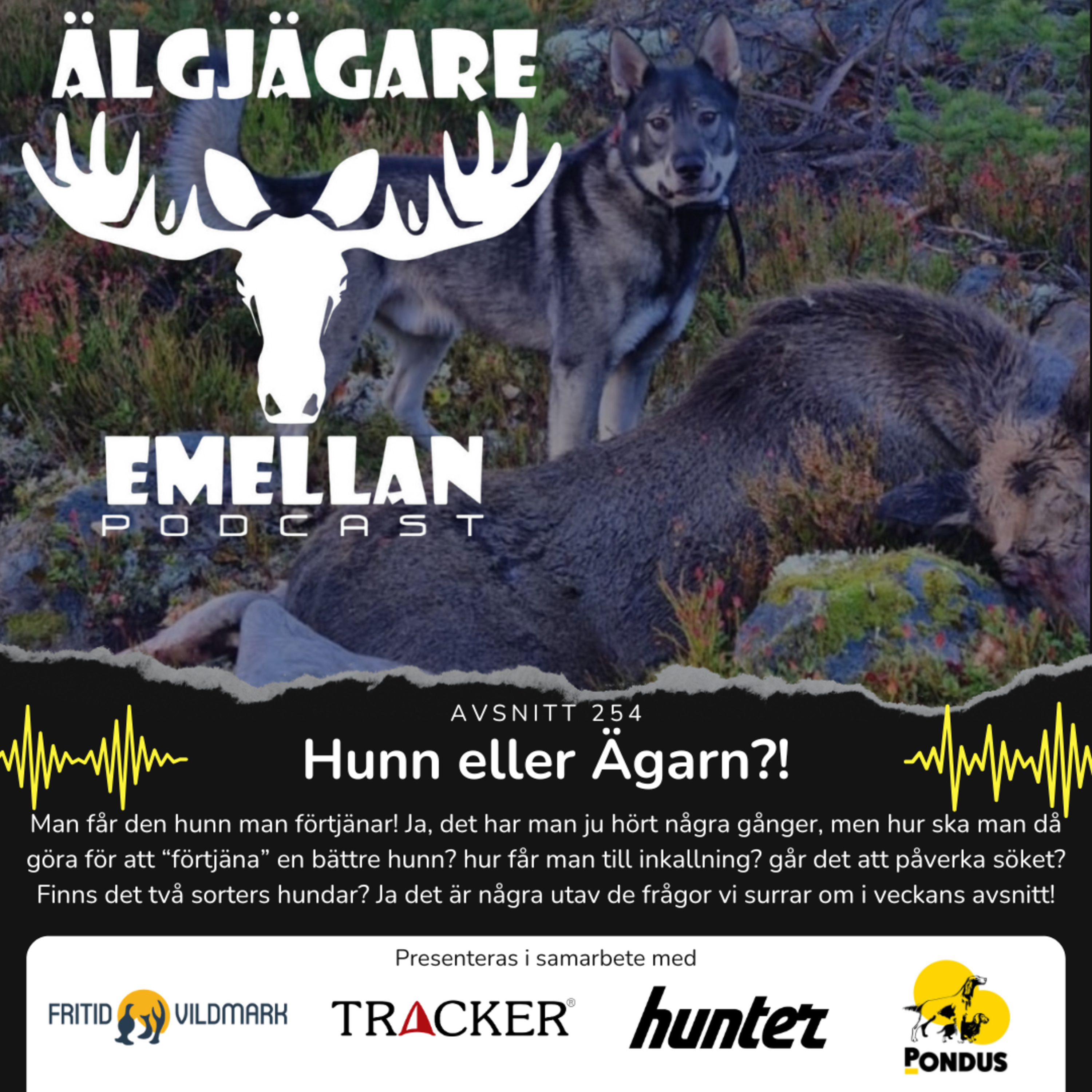 254. Hunn eller Ägarn?! episode artwork
