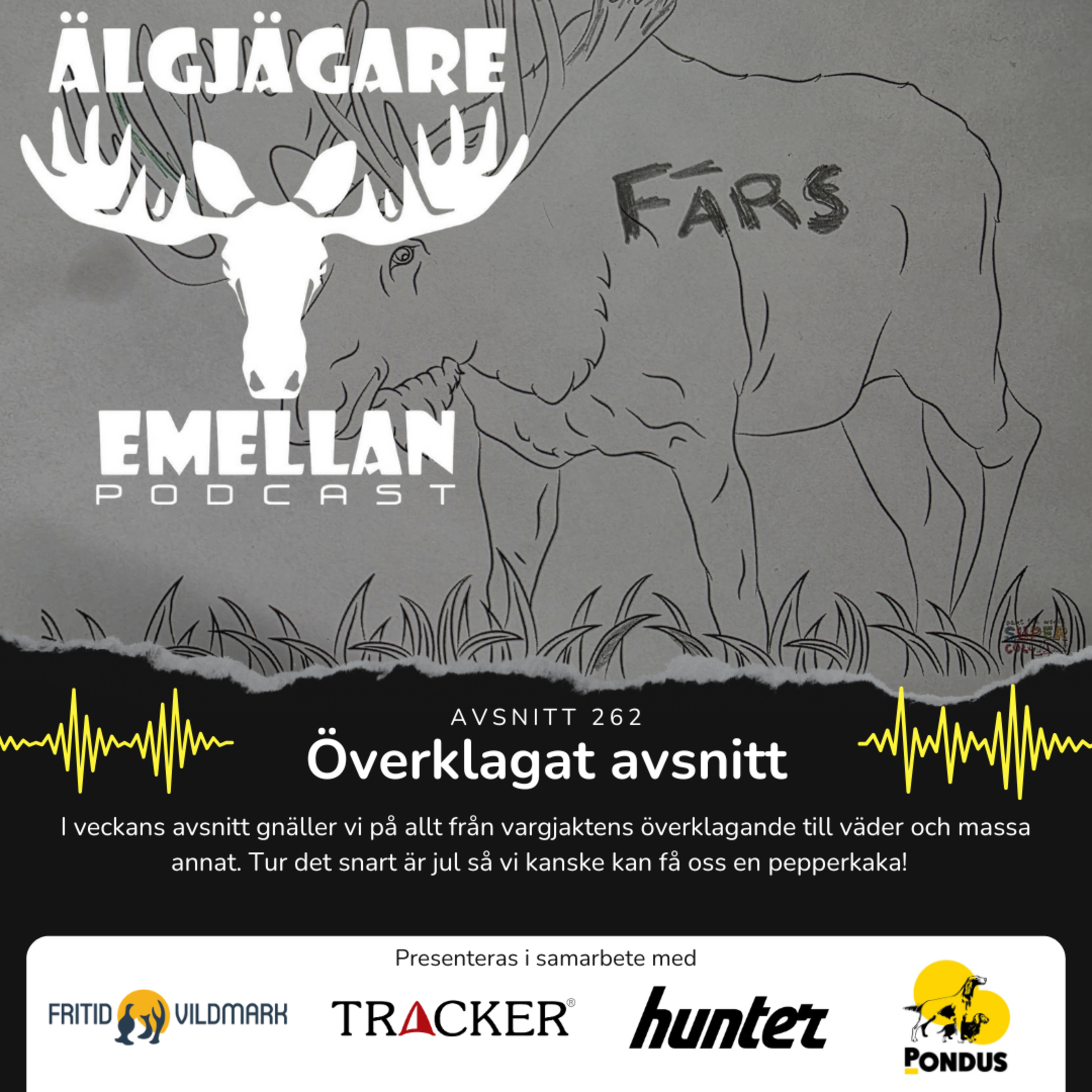 262. Överklagat avsnitt episode artwork