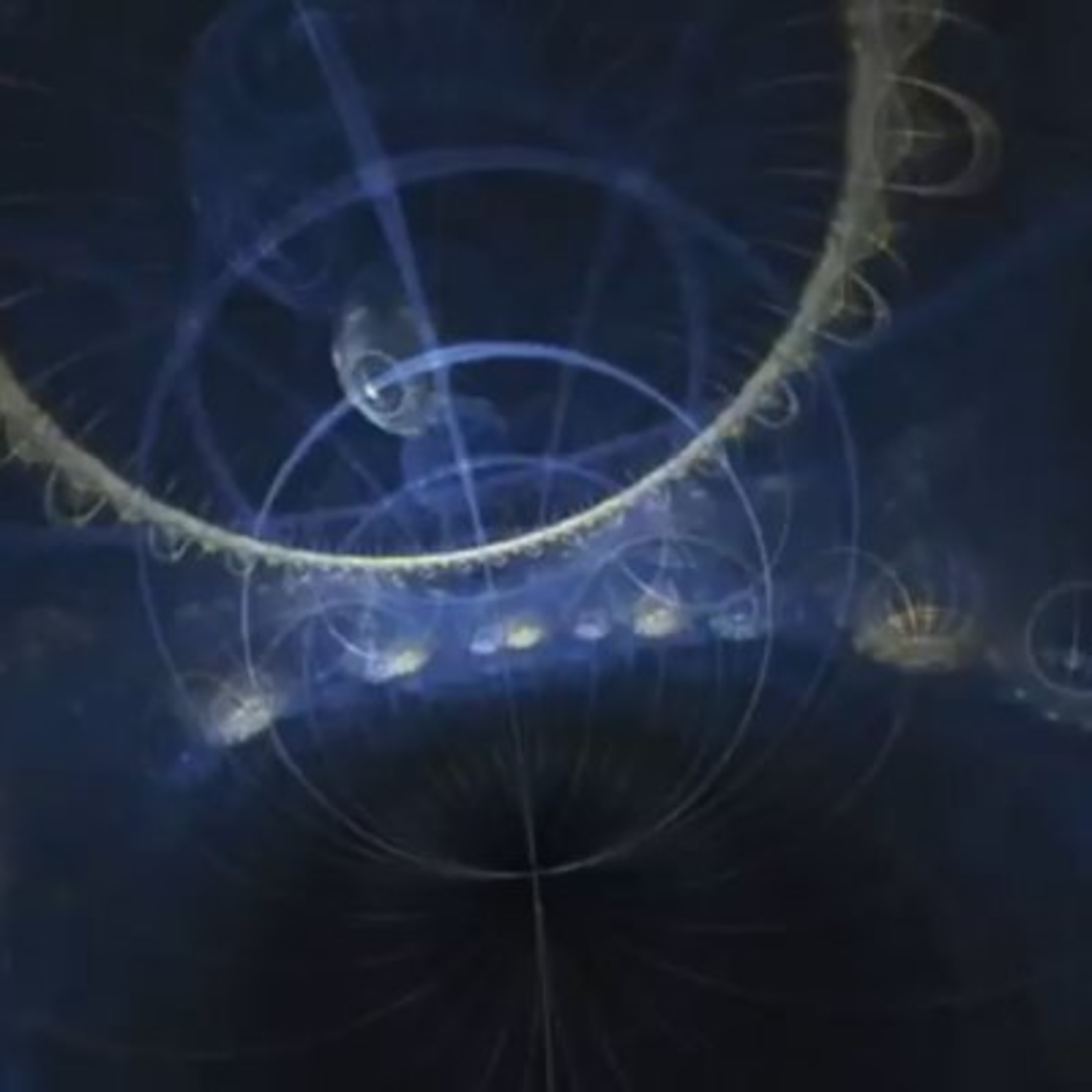 Scienza condivisa "Una moderna visione della materia: la meccanica quantistica, risorsa per il nostro futuro" episode artwork
