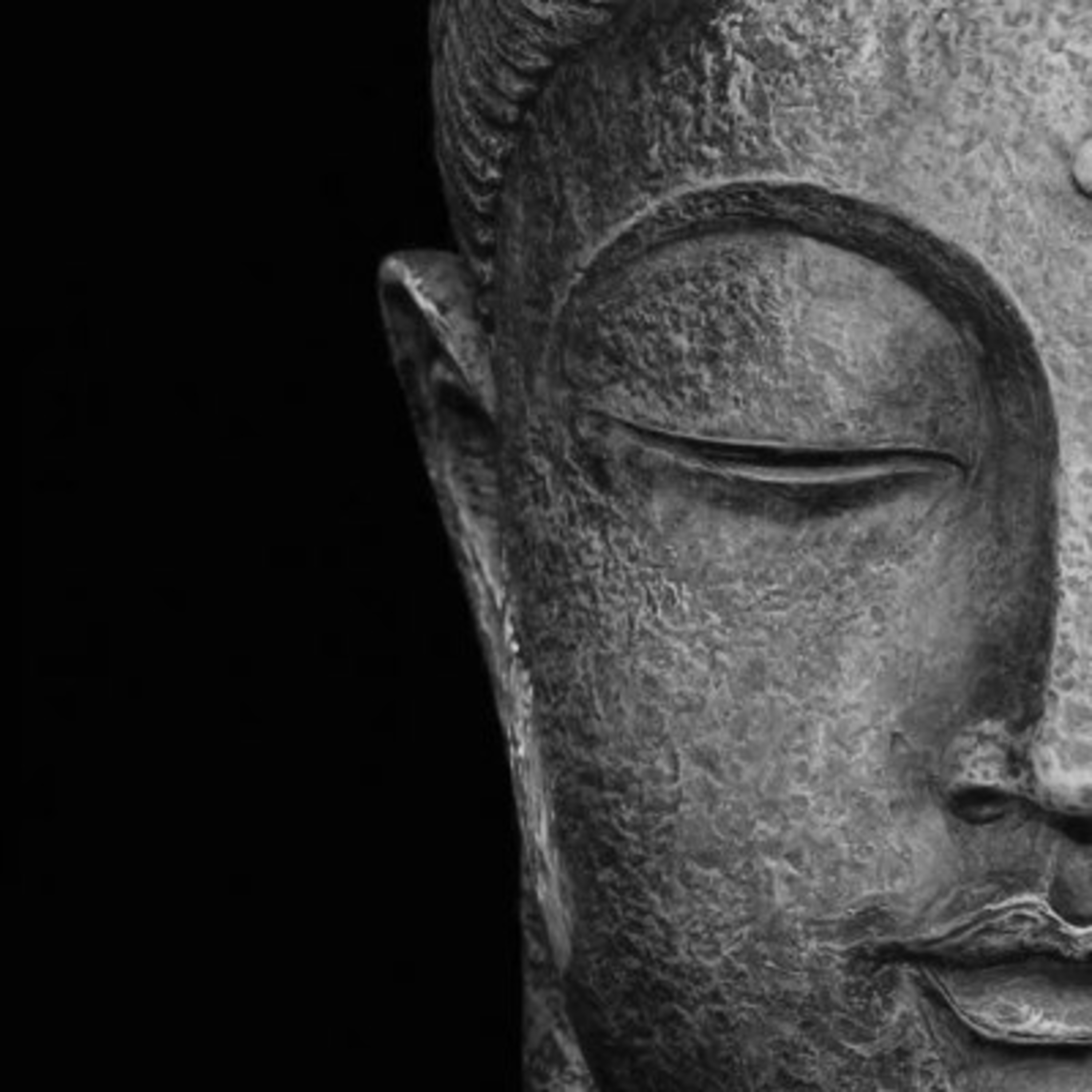 Illusione e realtà "Il dito e la Luna. L’esperienza della consapevolezza tra ironia e provocazione nel Buddhismo Zen" episode artwork