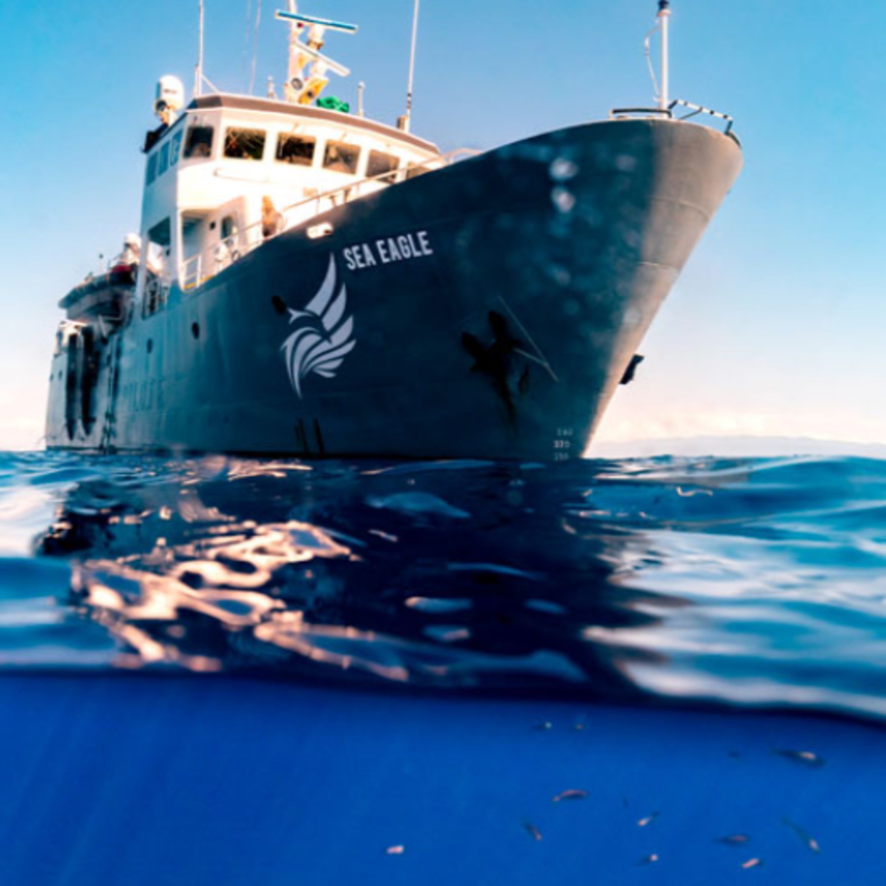Difendere il mare oggi "Sea Shepherd e l’azione che fa la differenza" episode artwork