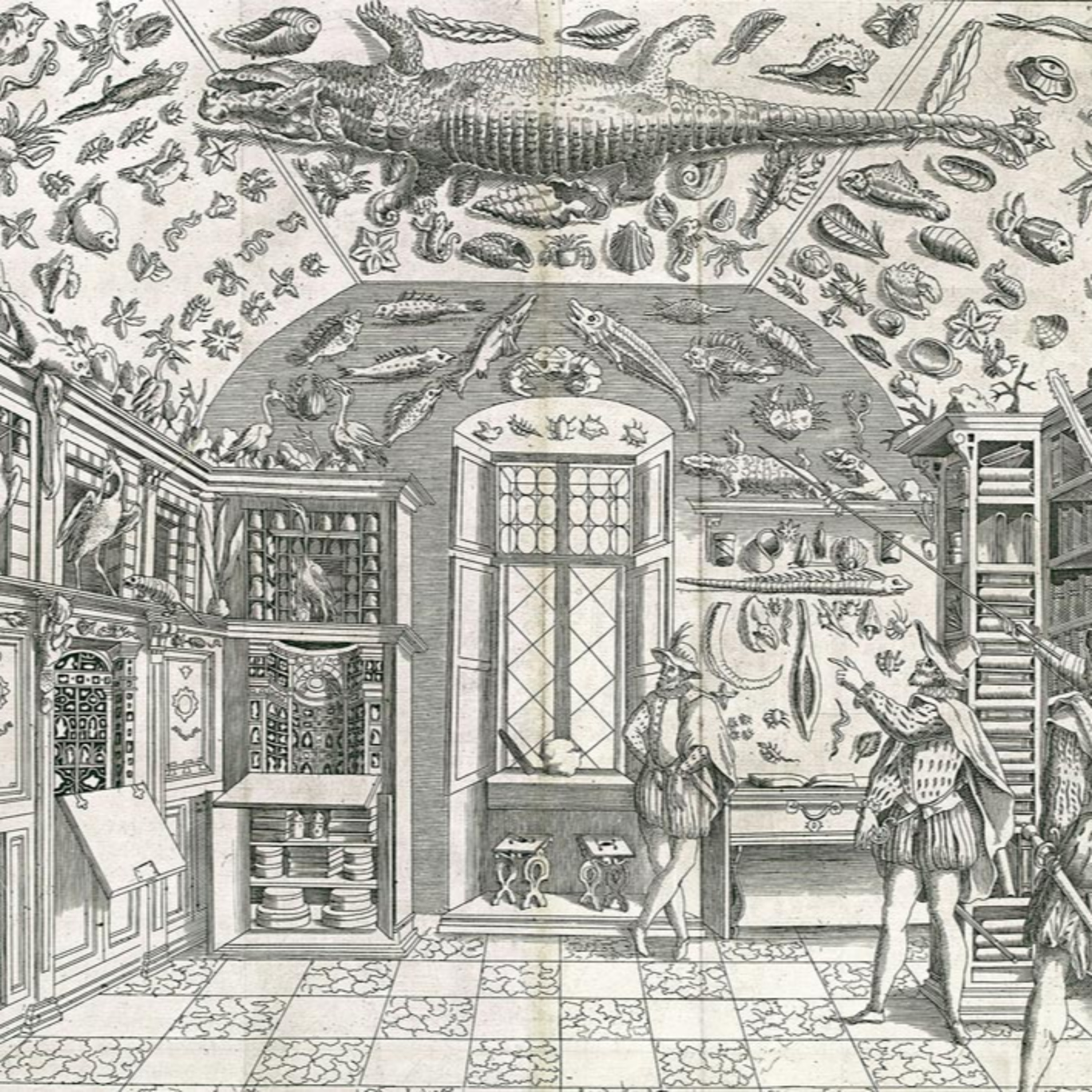 Scienza condivisa "La bellezza è per caso?" episode artwork