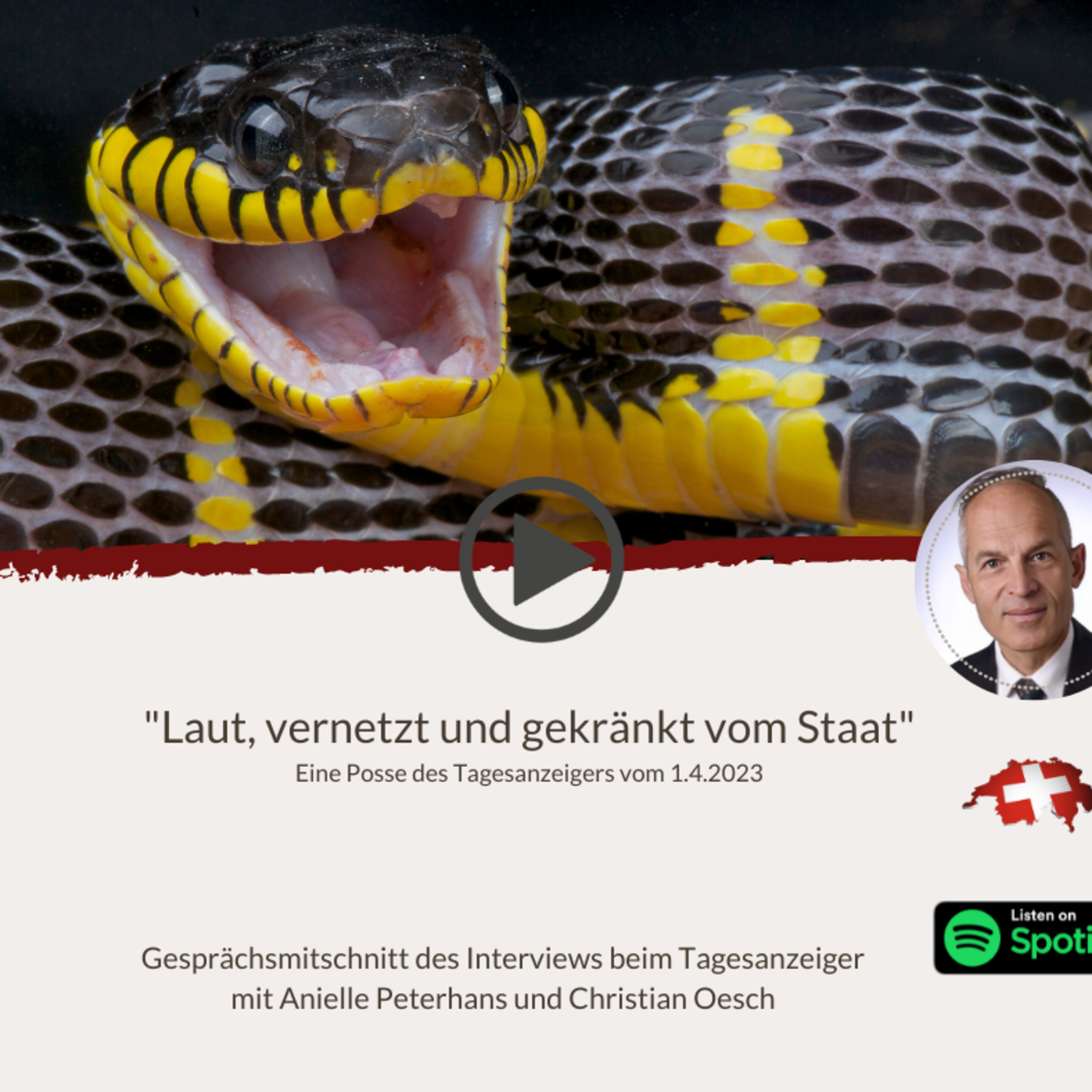Schweizerischer Verein WIR