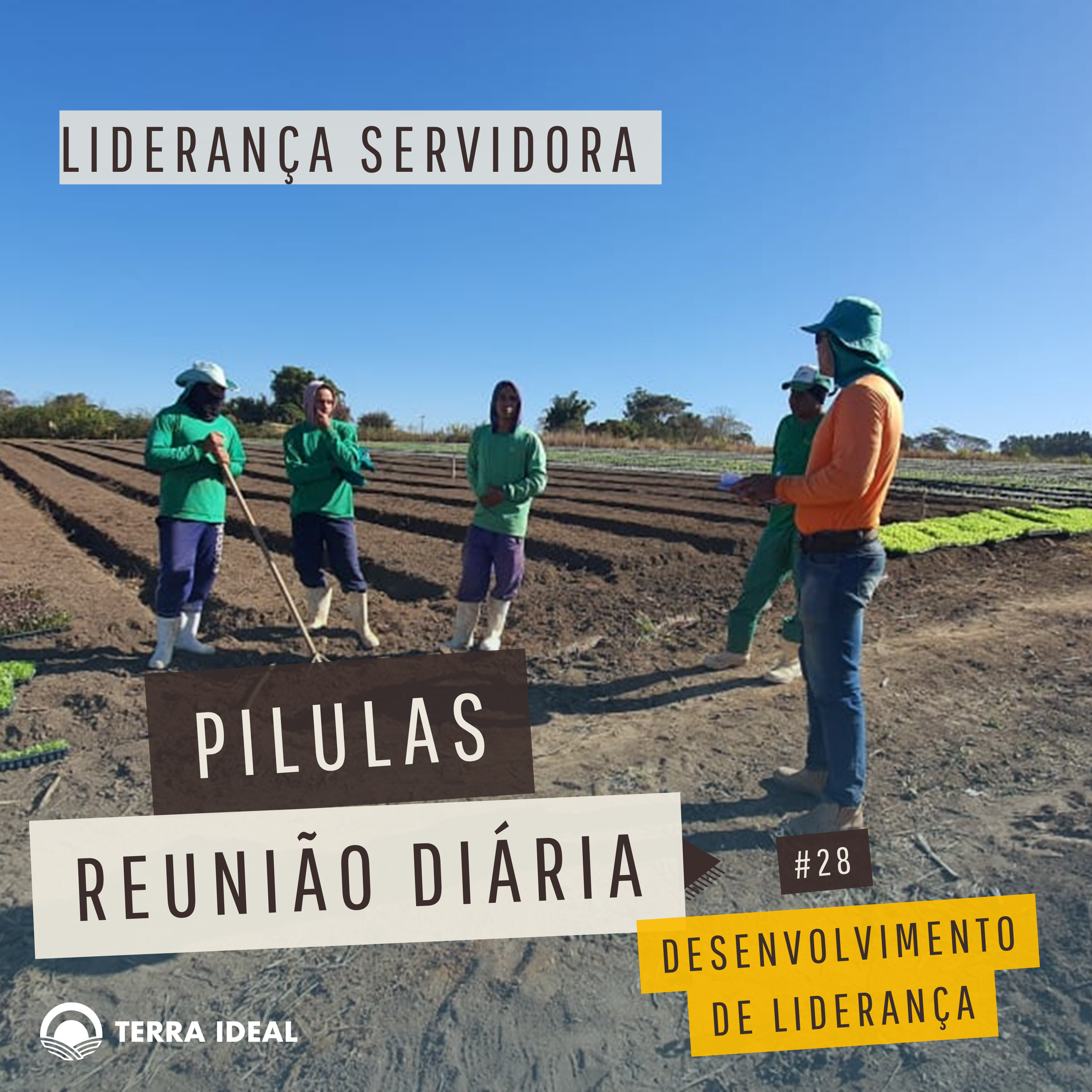 Aqui tem Gerencia - Escola Coop. Terra Lean