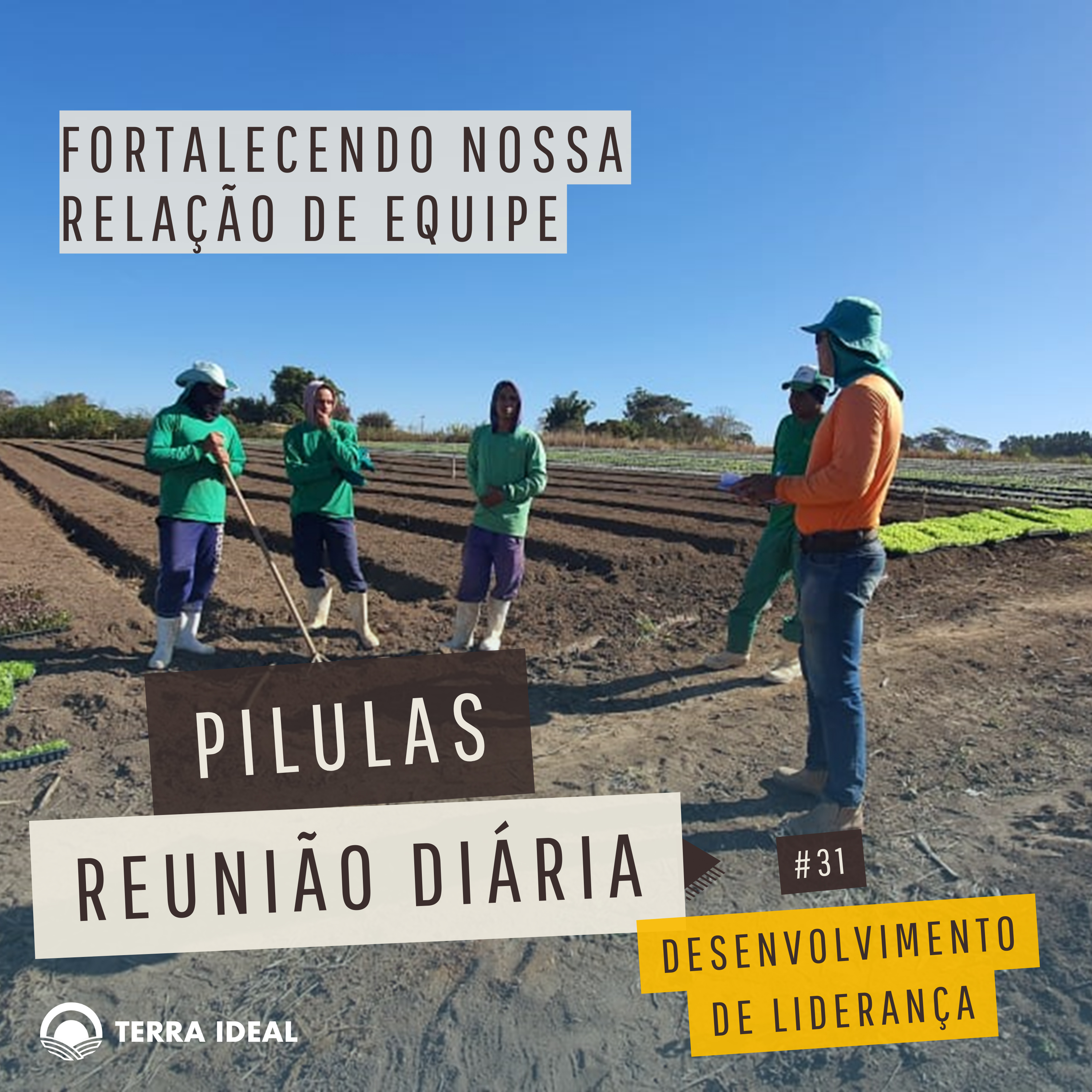 Aqui tem Gerencia - Escola Coop. Terra Lean