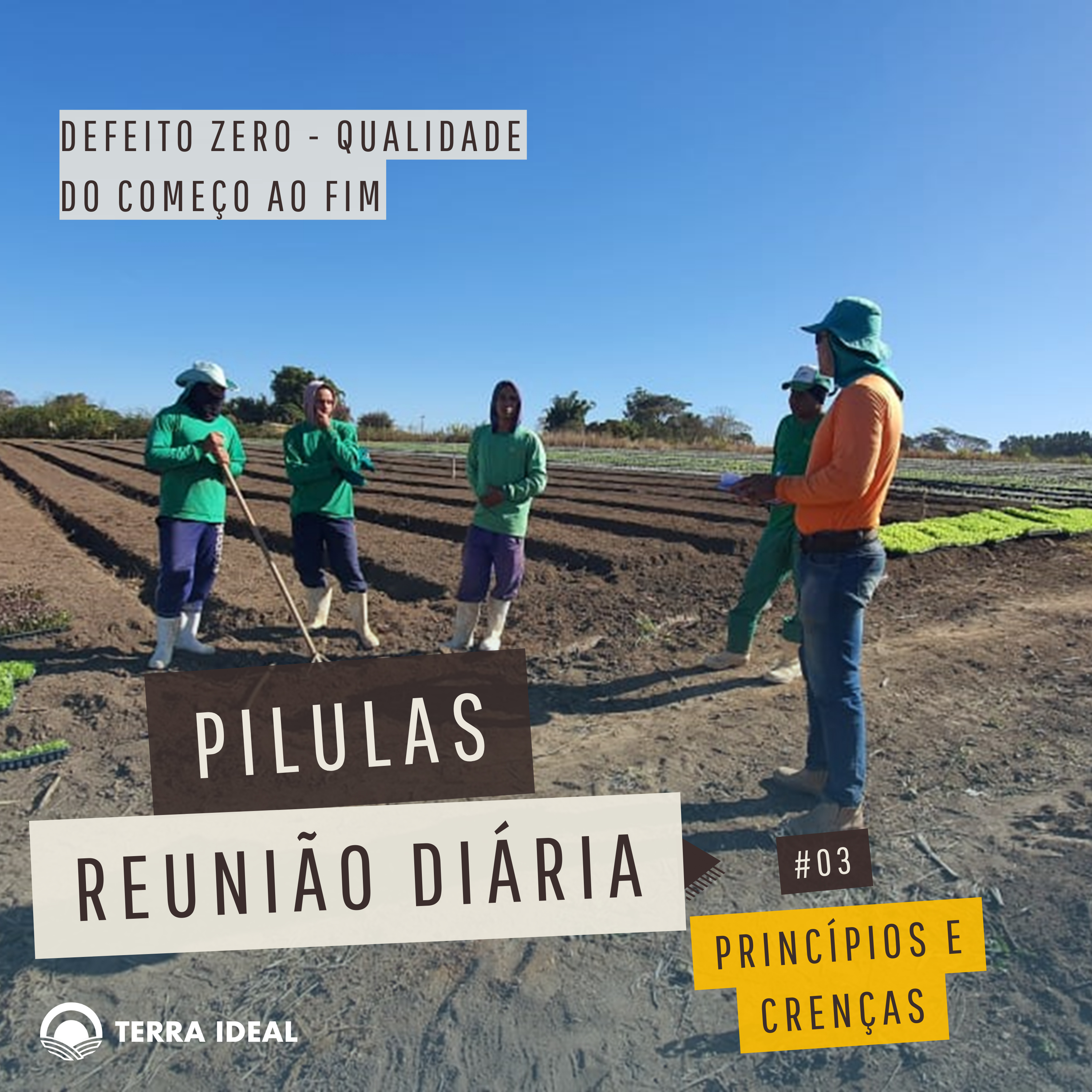 Aqui tem Gerencia - Escola Coop. Terra Lean