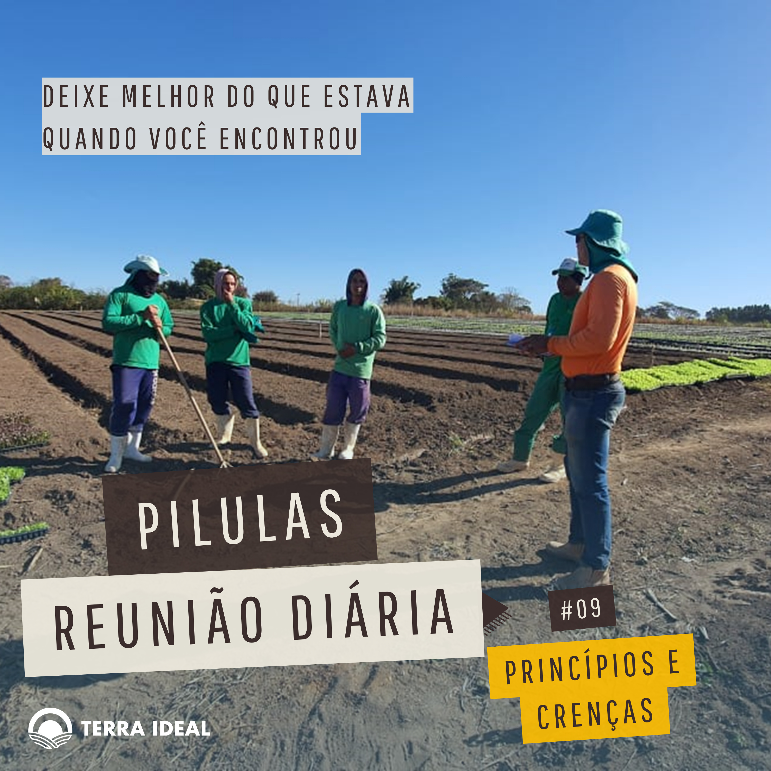 Aqui tem Gerencia - Escola Coop. Terra Lean