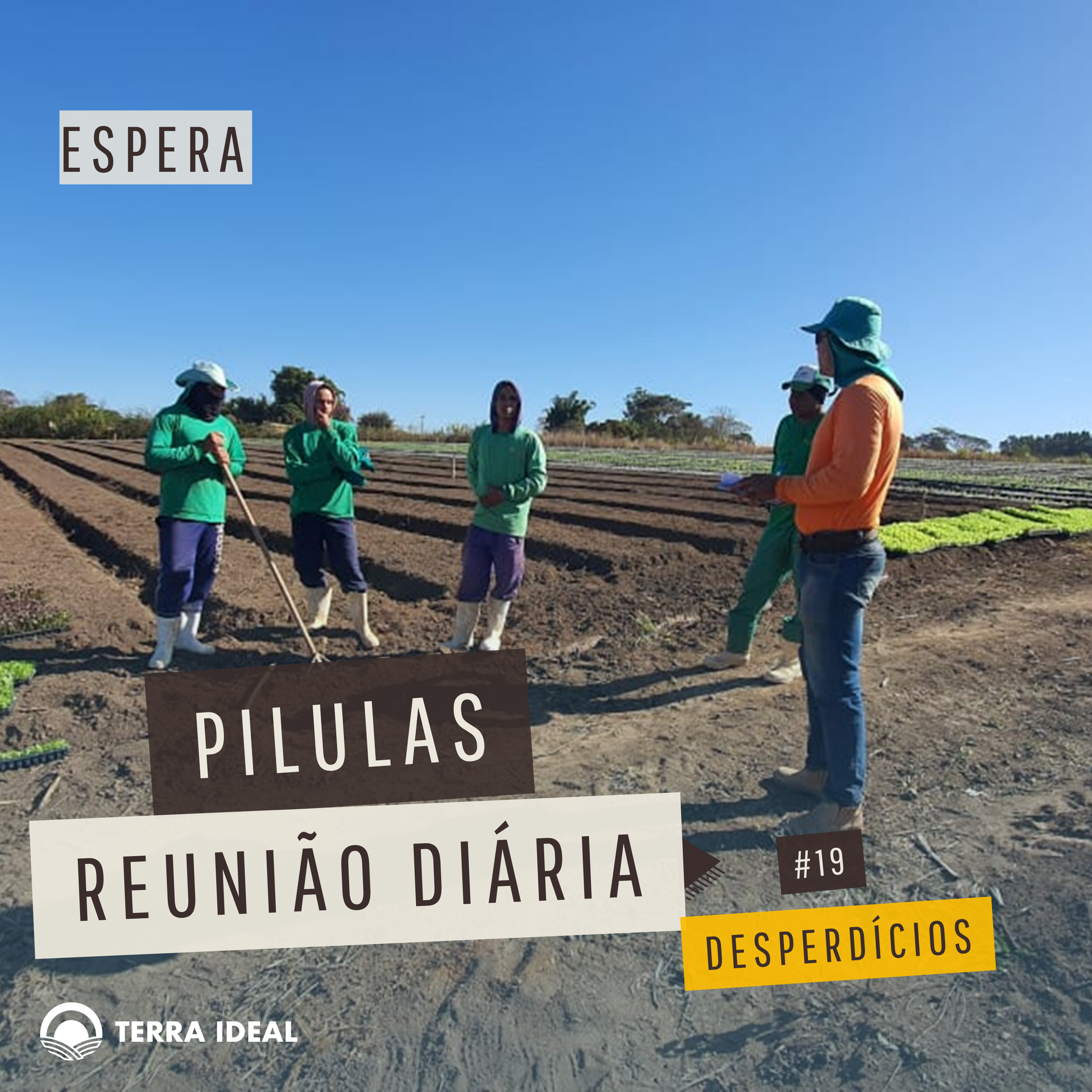 Aqui tem Gerencia - Escola Coop. Terra Lean
