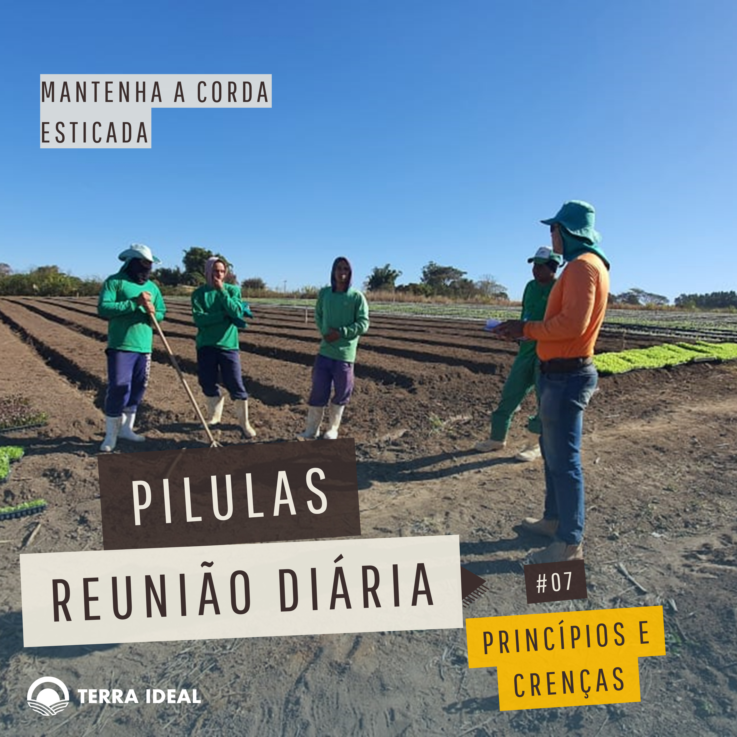 Aqui tem Gerencia - Escola Coop. Terra Lean