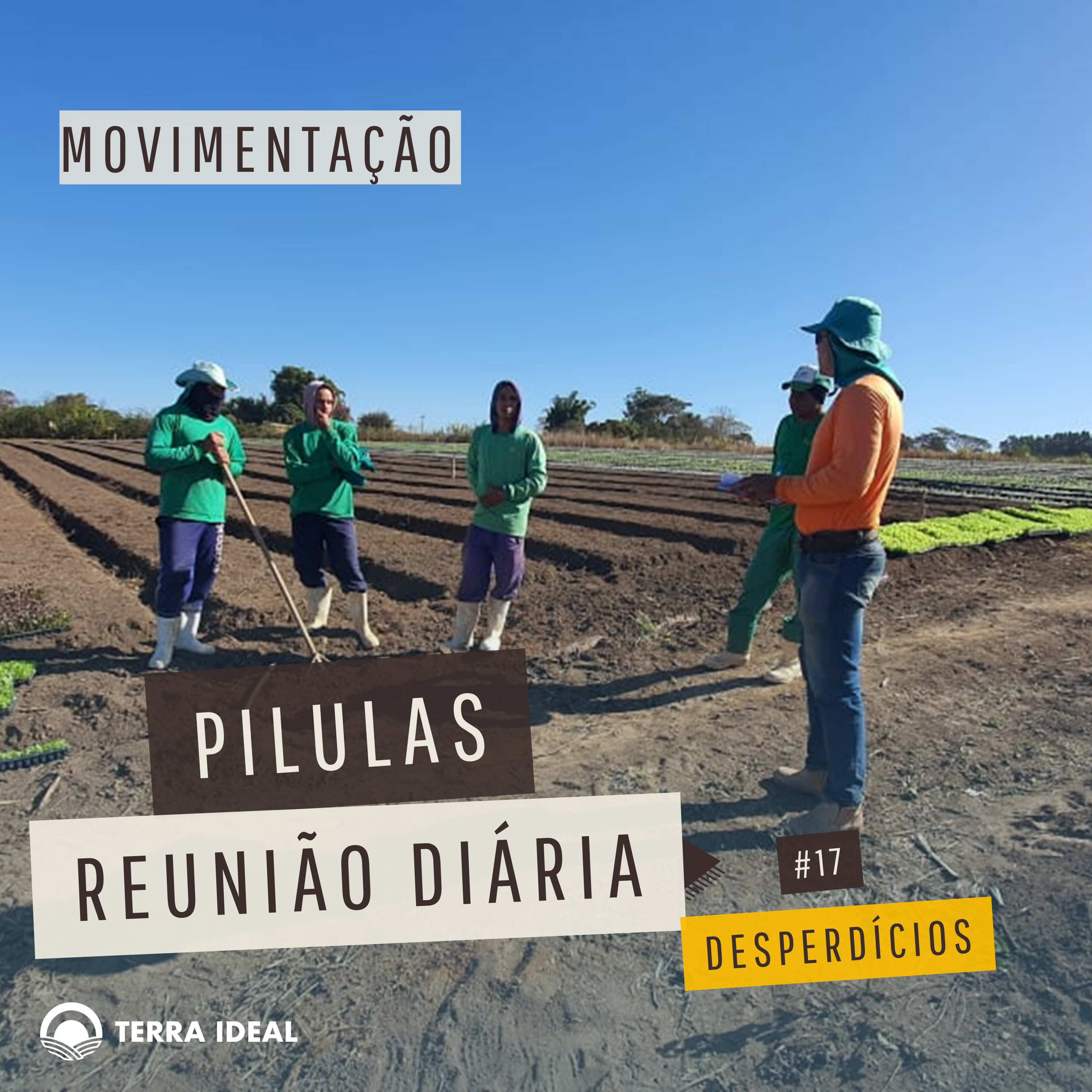Aqui tem Gerencia - Escola Coop. Terra Lean