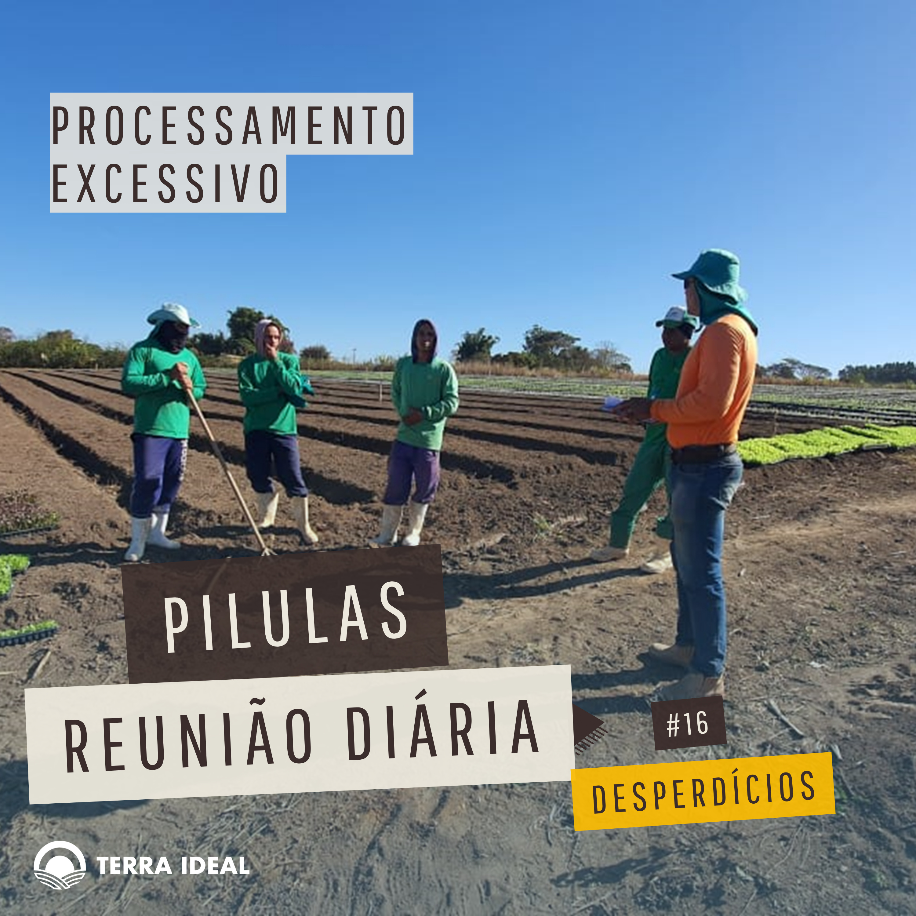 Aqui tem Gerencia - Escola Coop. Terra Lean