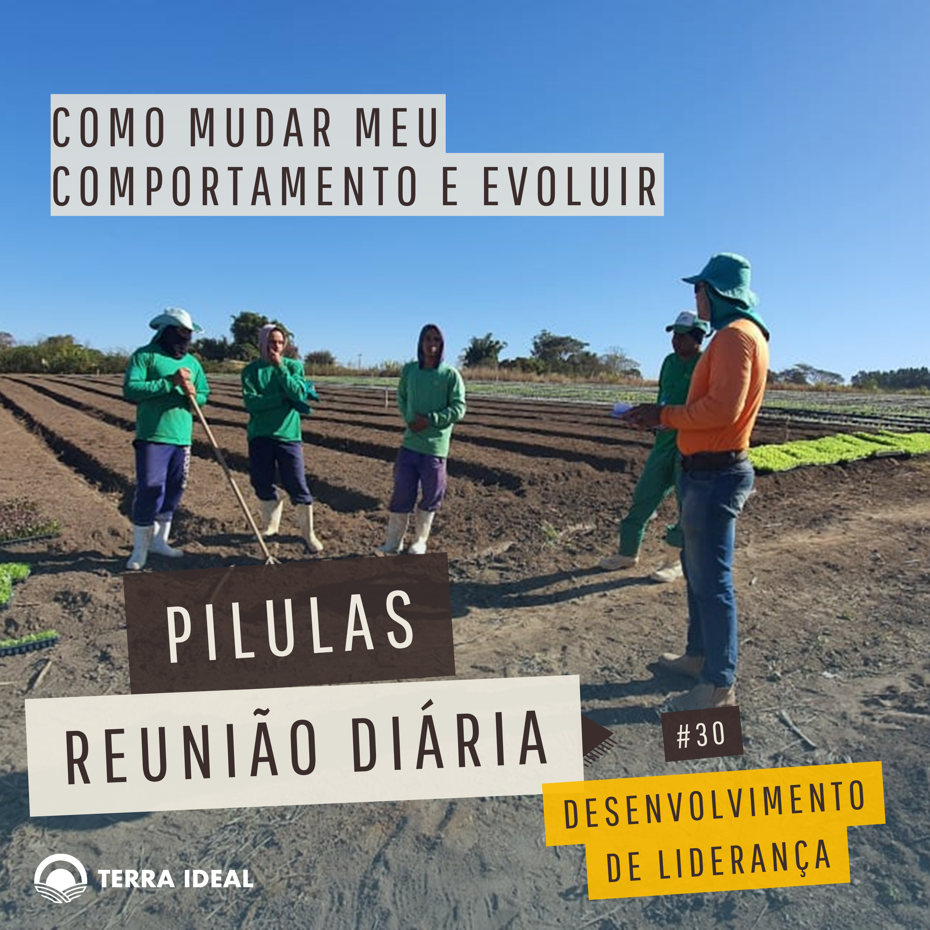 Aqui tem Gerencia - Escola Coop. Terra Lean